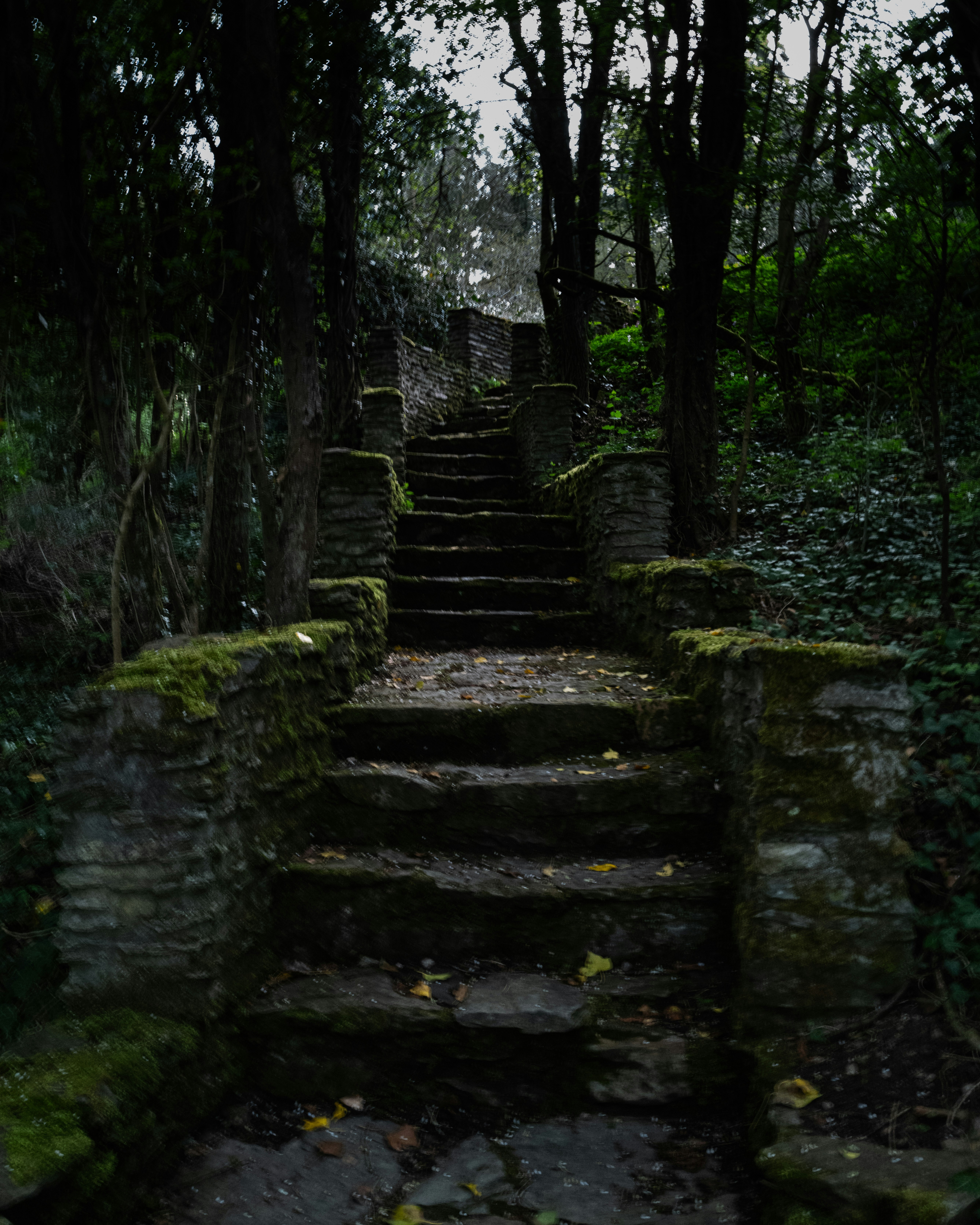 Photo by maikastheimer