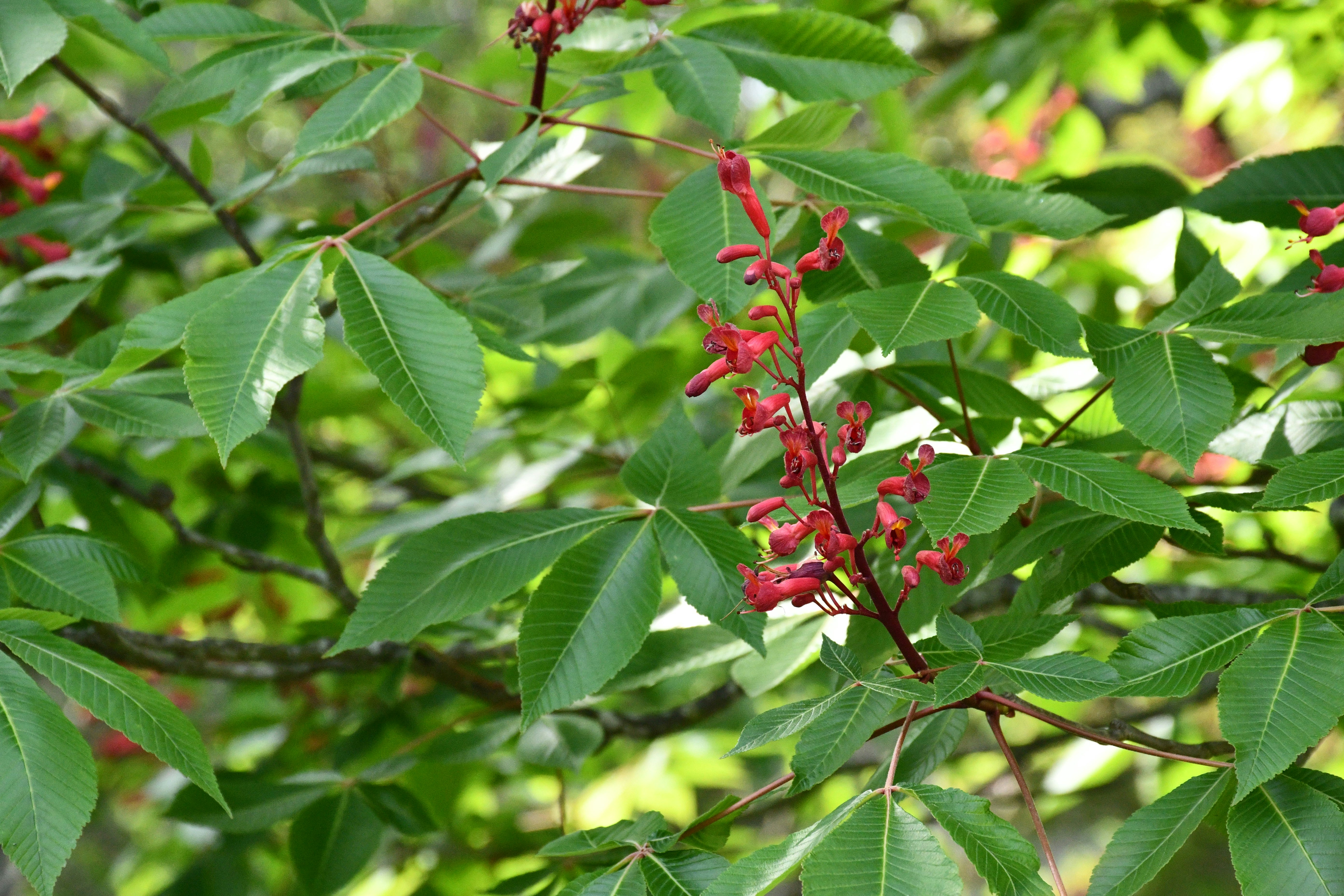 Photo by naturalist_boat