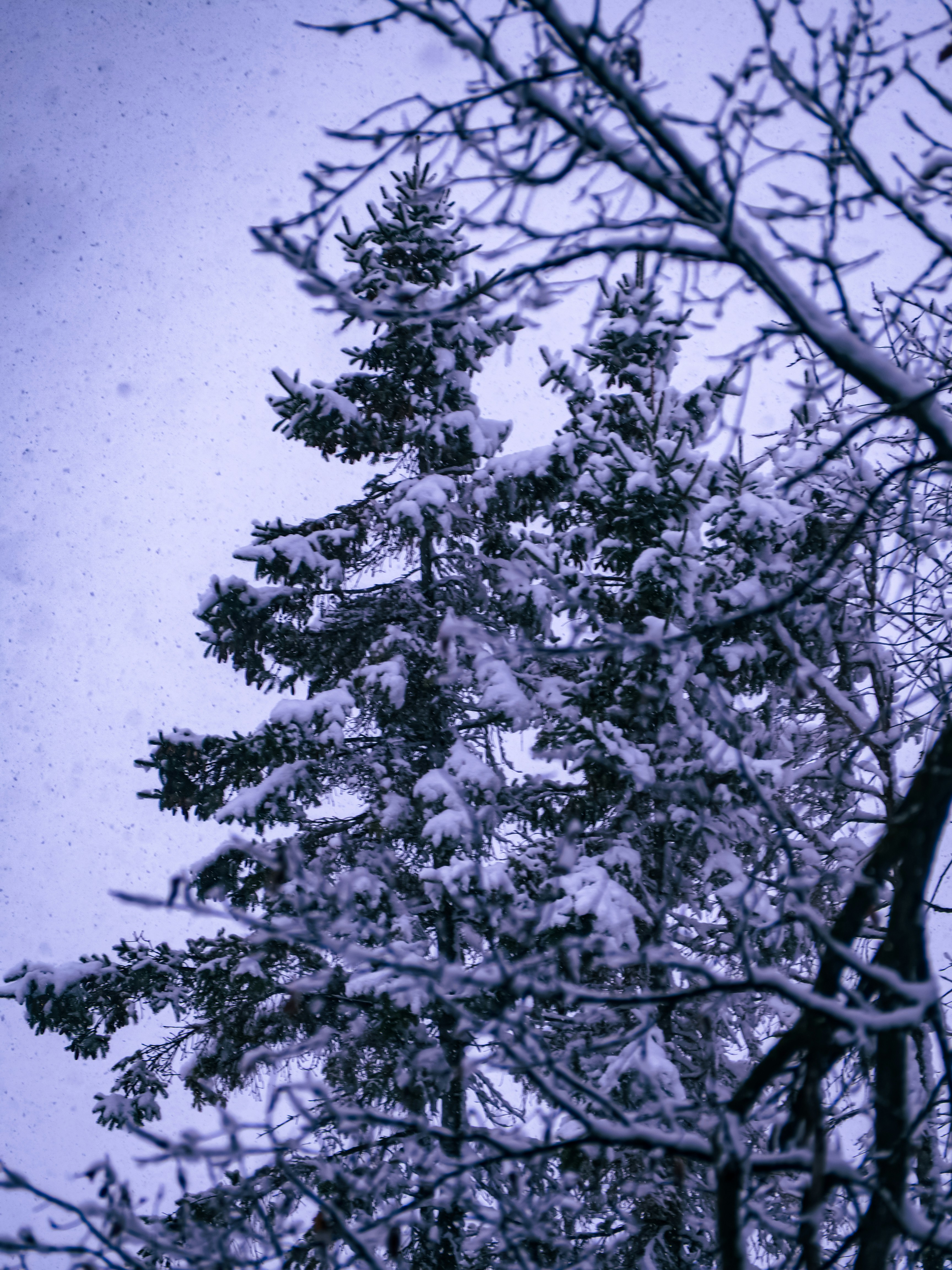 Photo by samueljames16