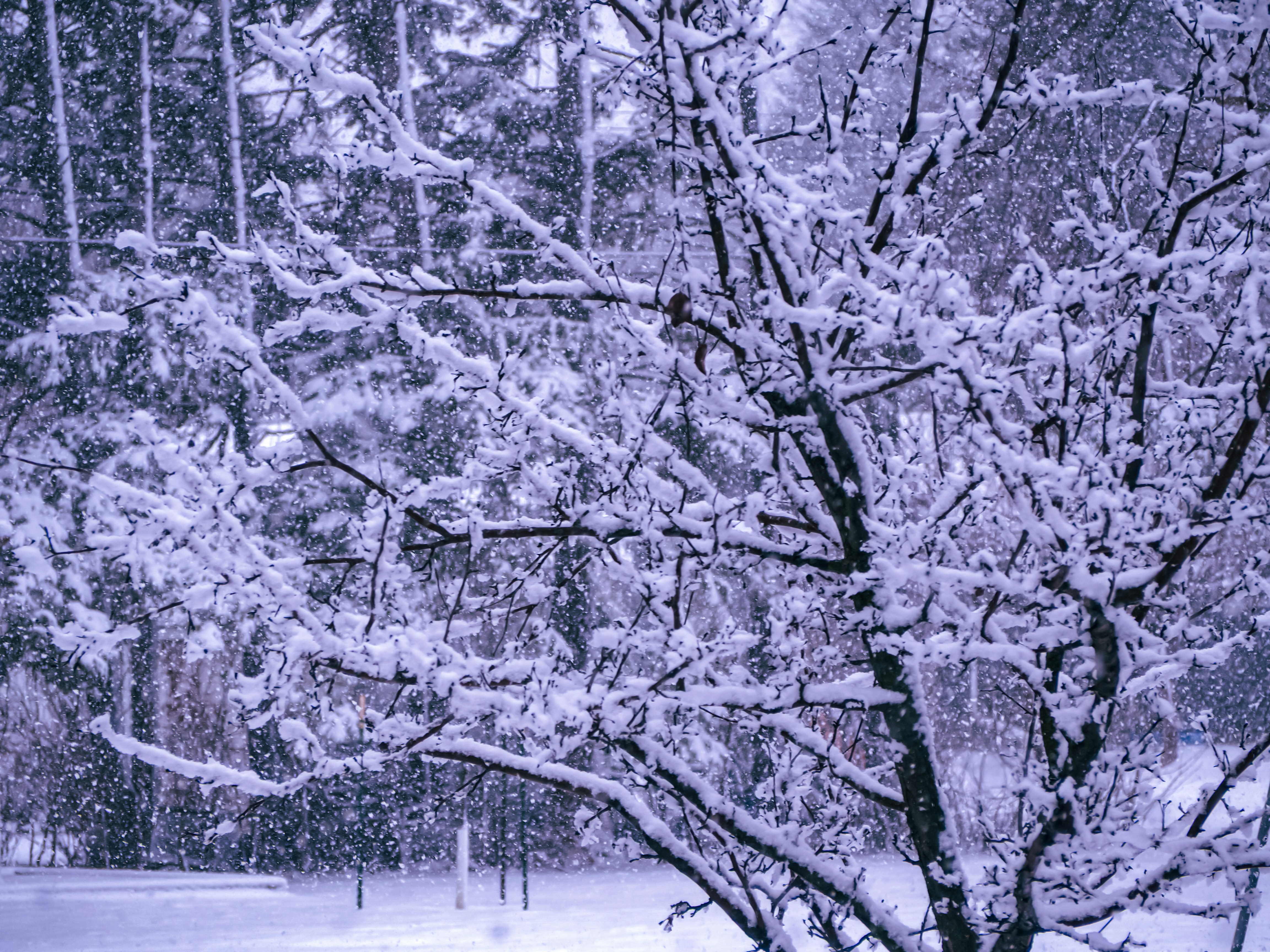 Photo by samueljames16