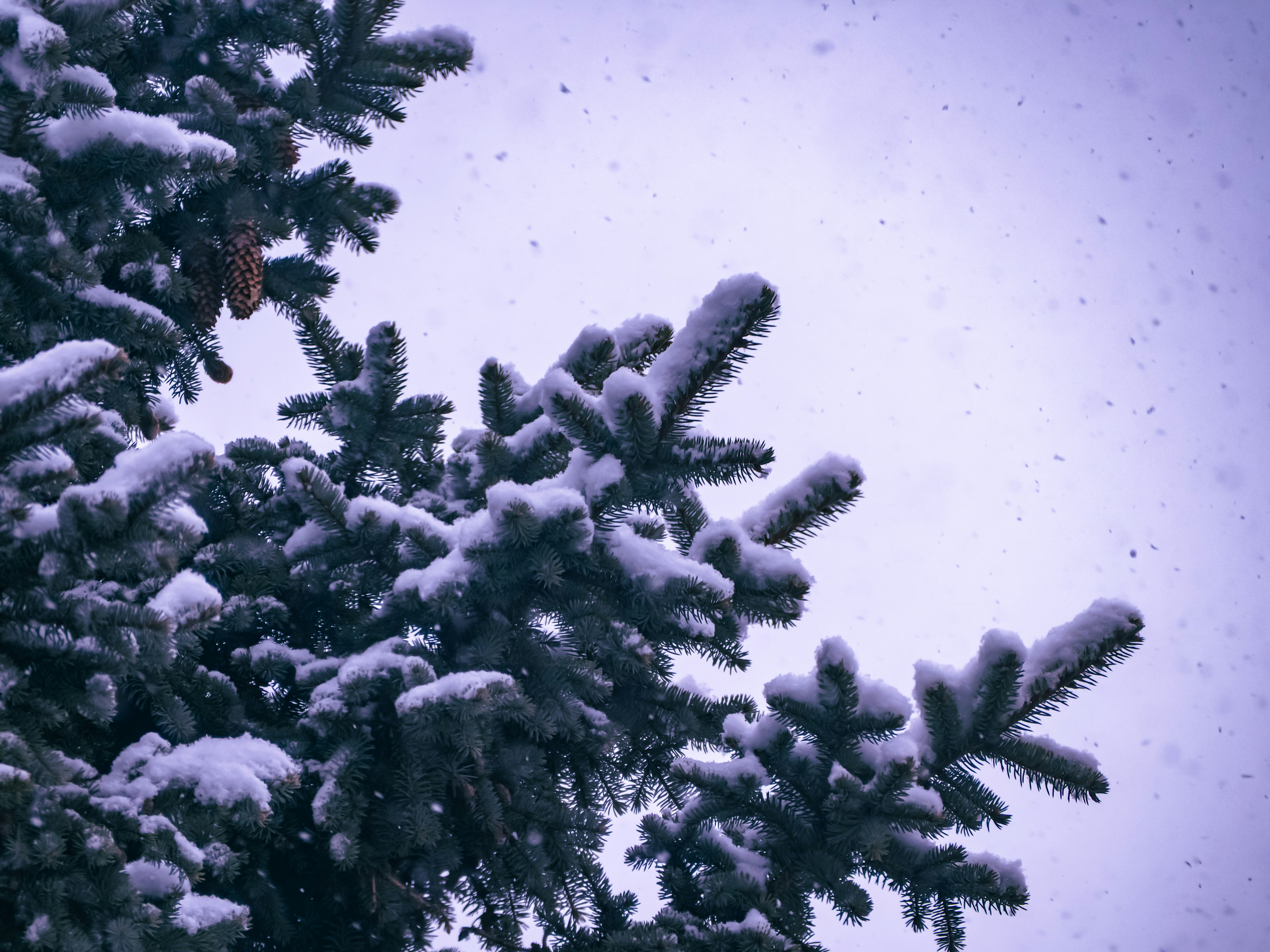 Photo by samueljames16