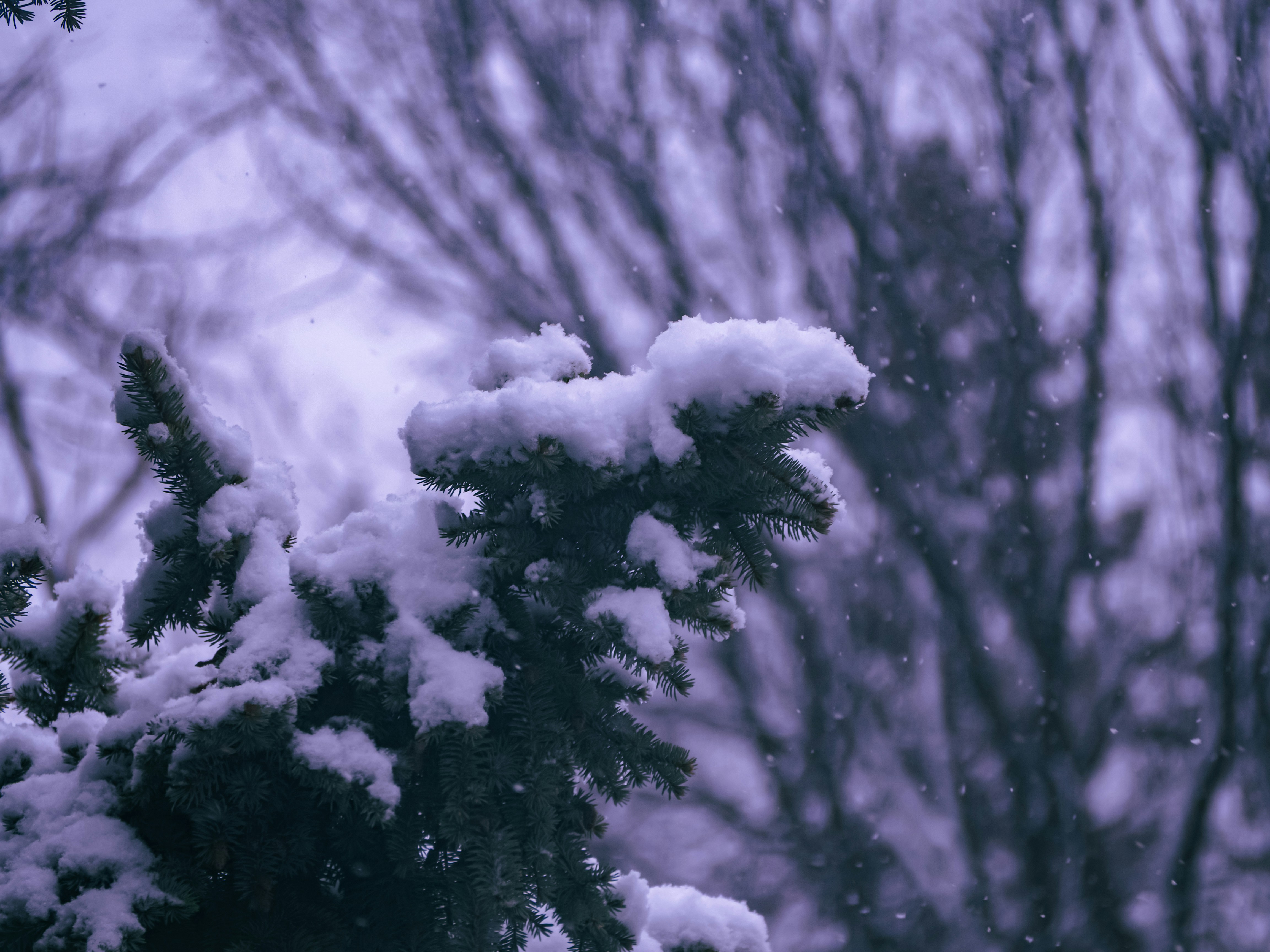 Photo by samueljames16