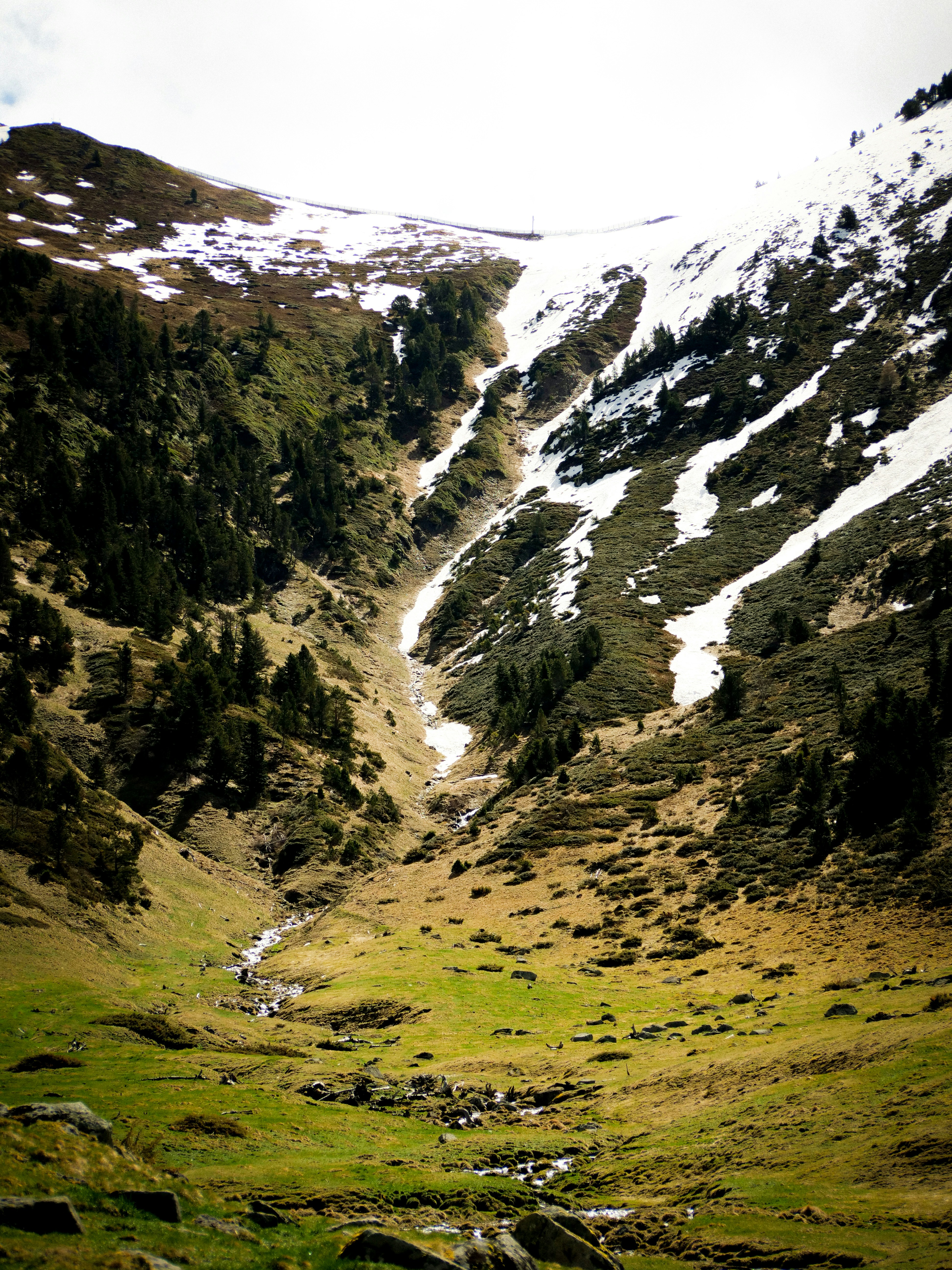 Photo by bengrayland