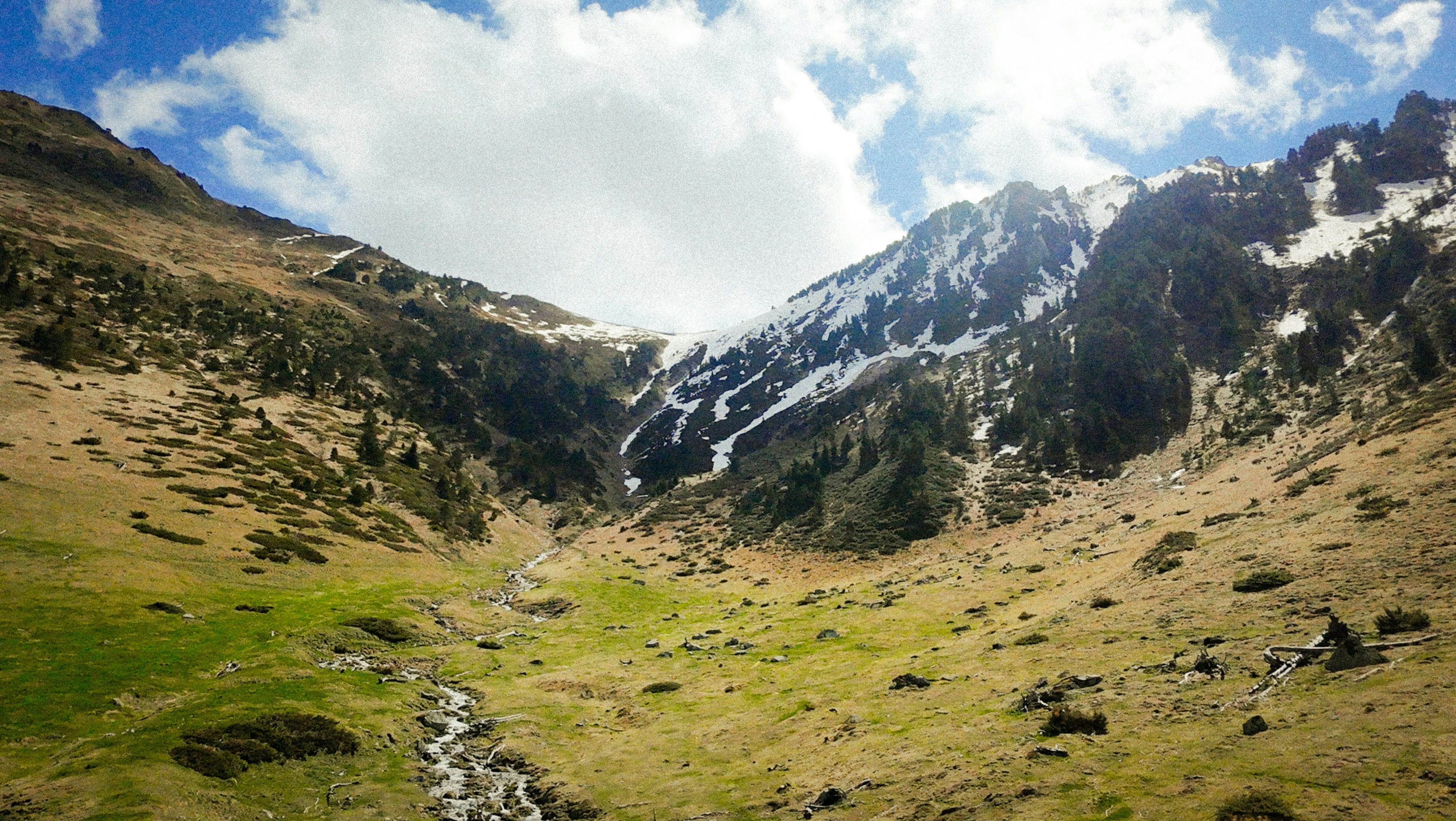 Photo by bengrayland