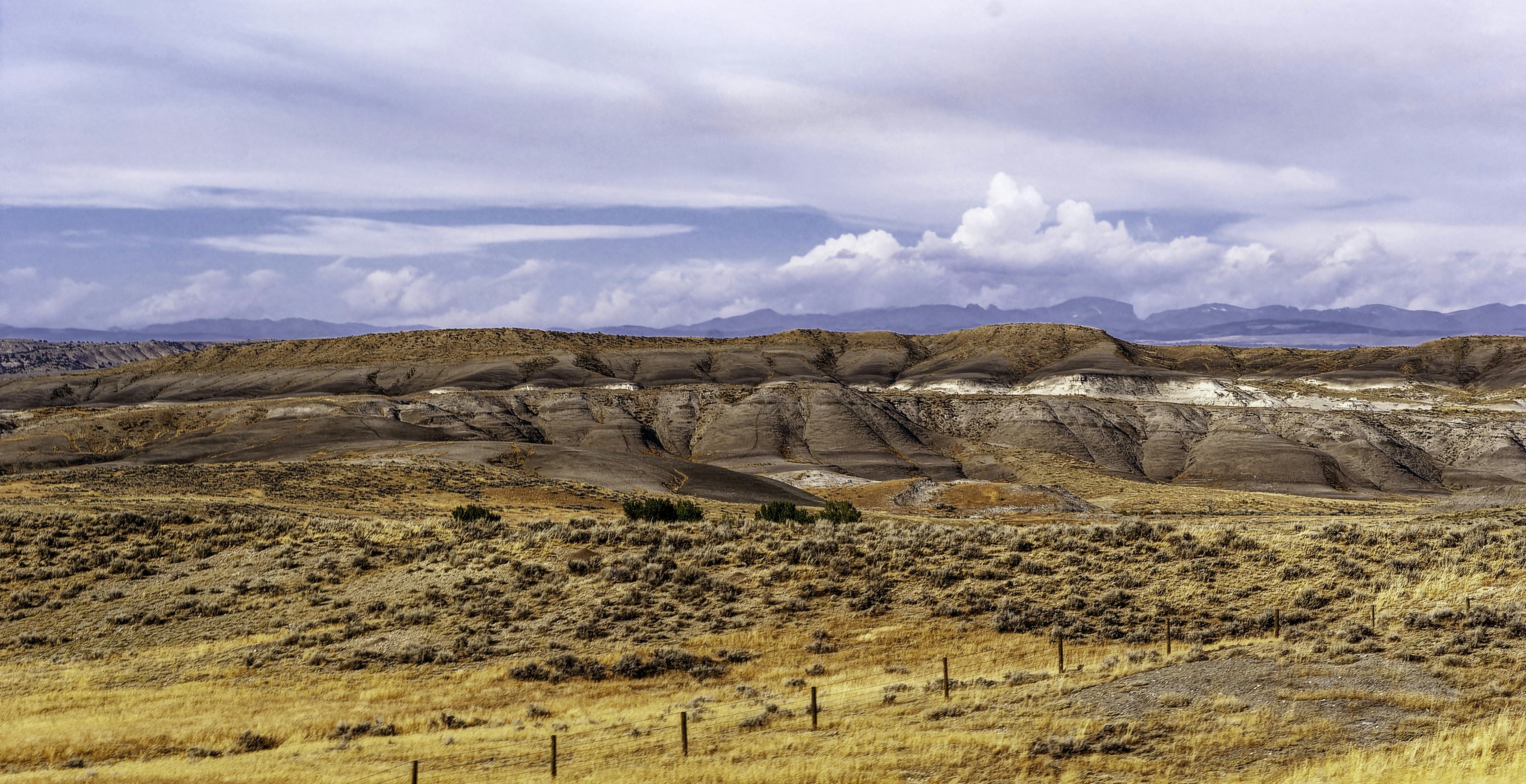 Photo by d_a_mclaughlin