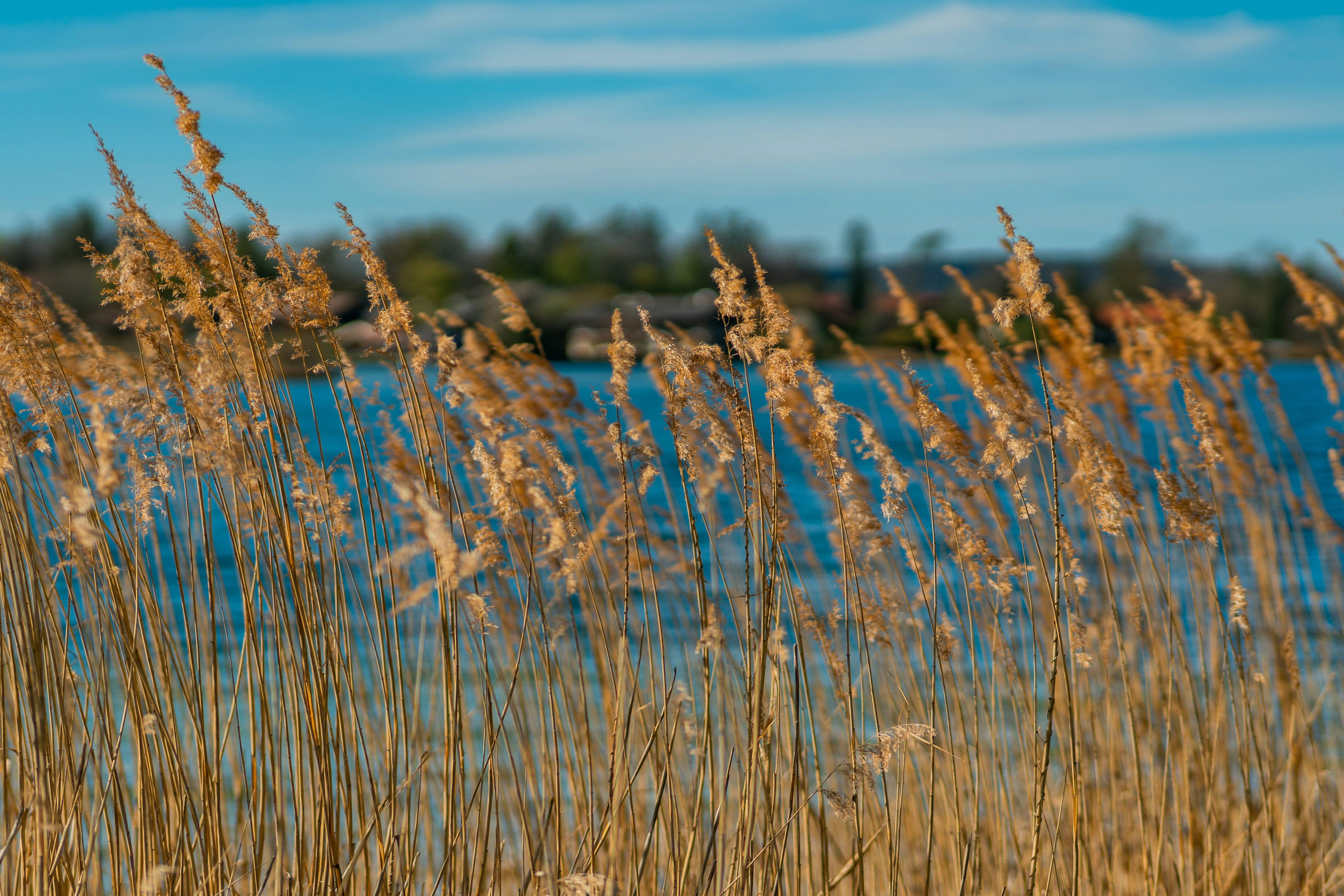 Photo by jahan_photobox