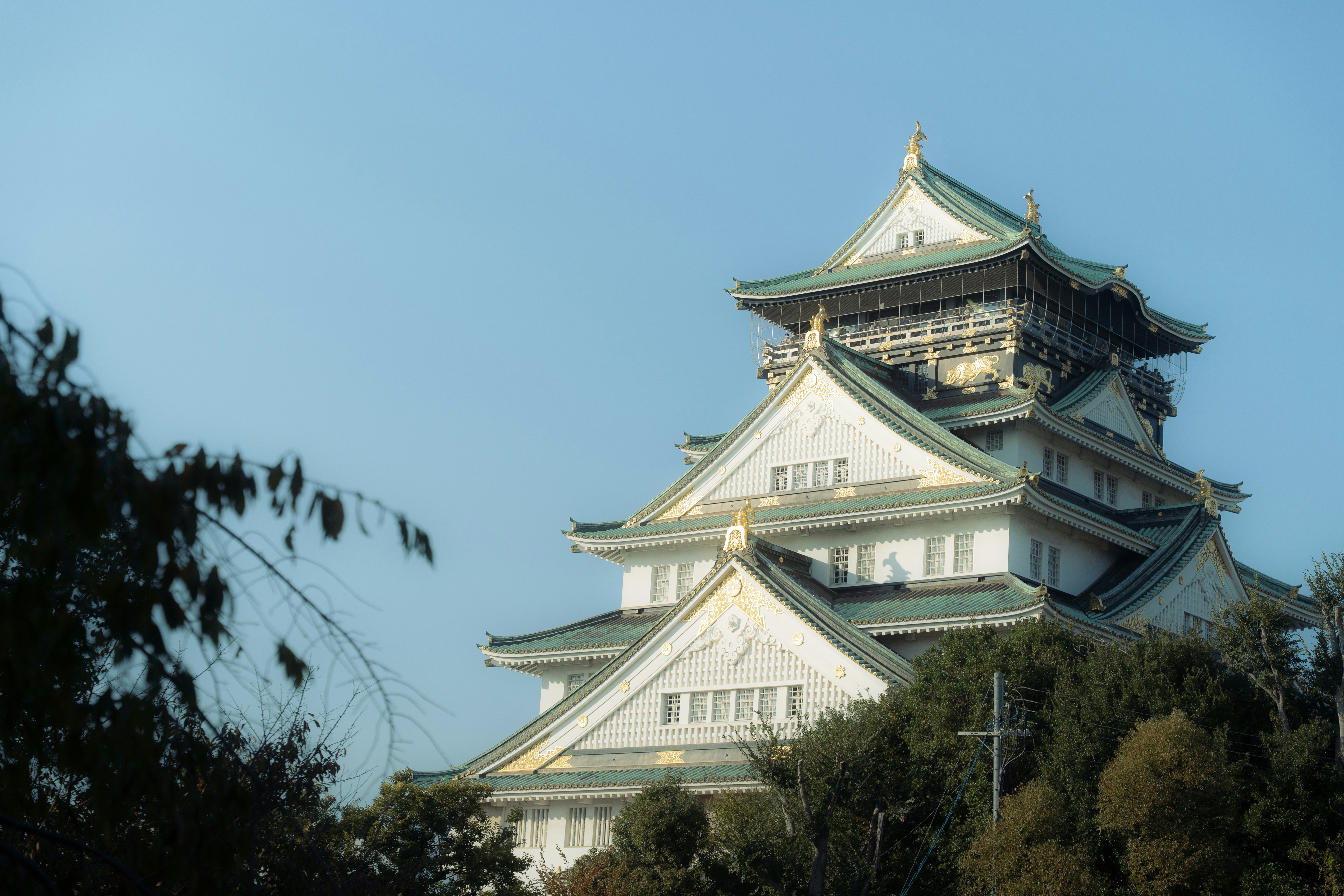 Photo by jivangarcha