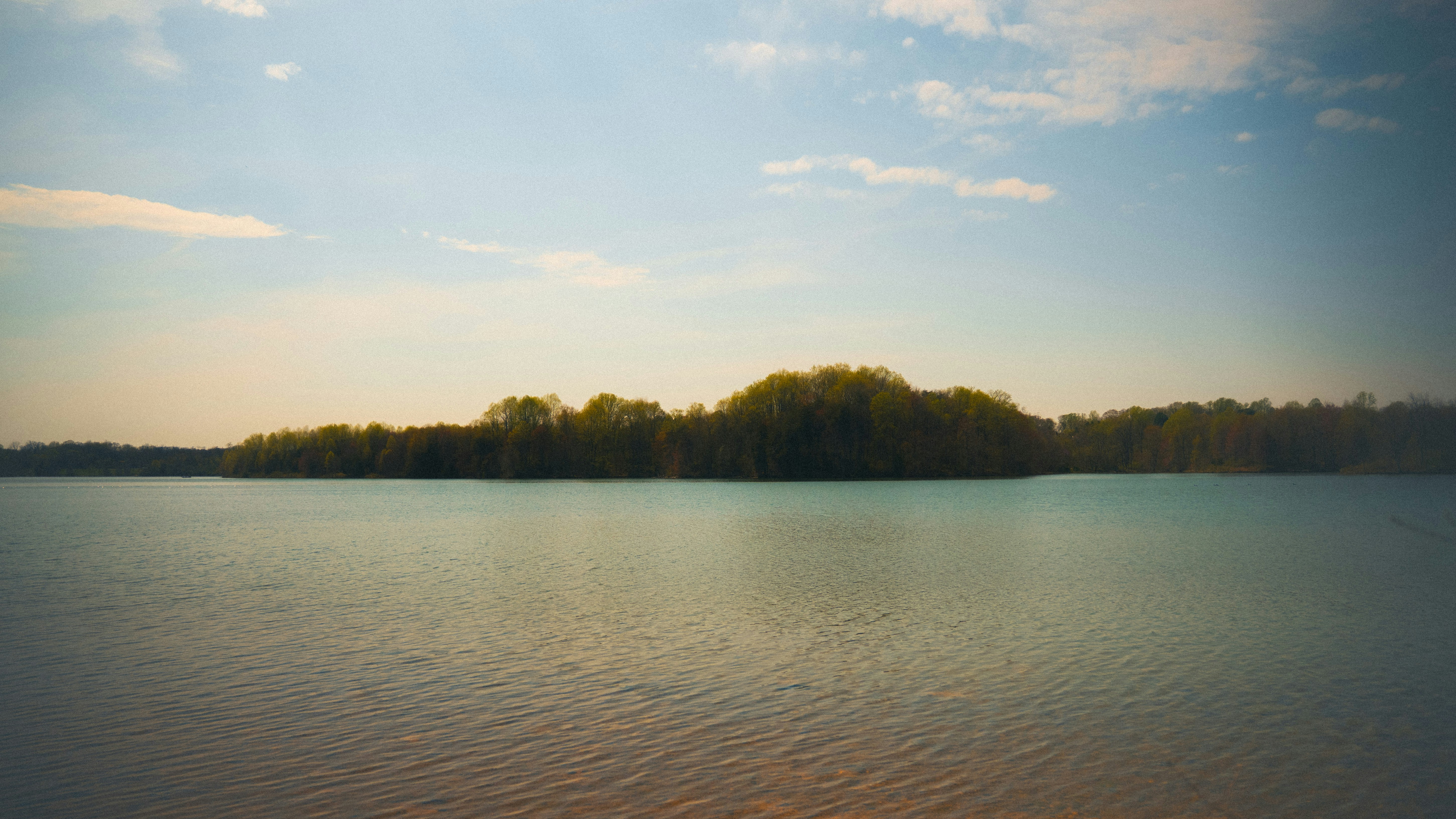 Photo by daniwithaniphotovideo