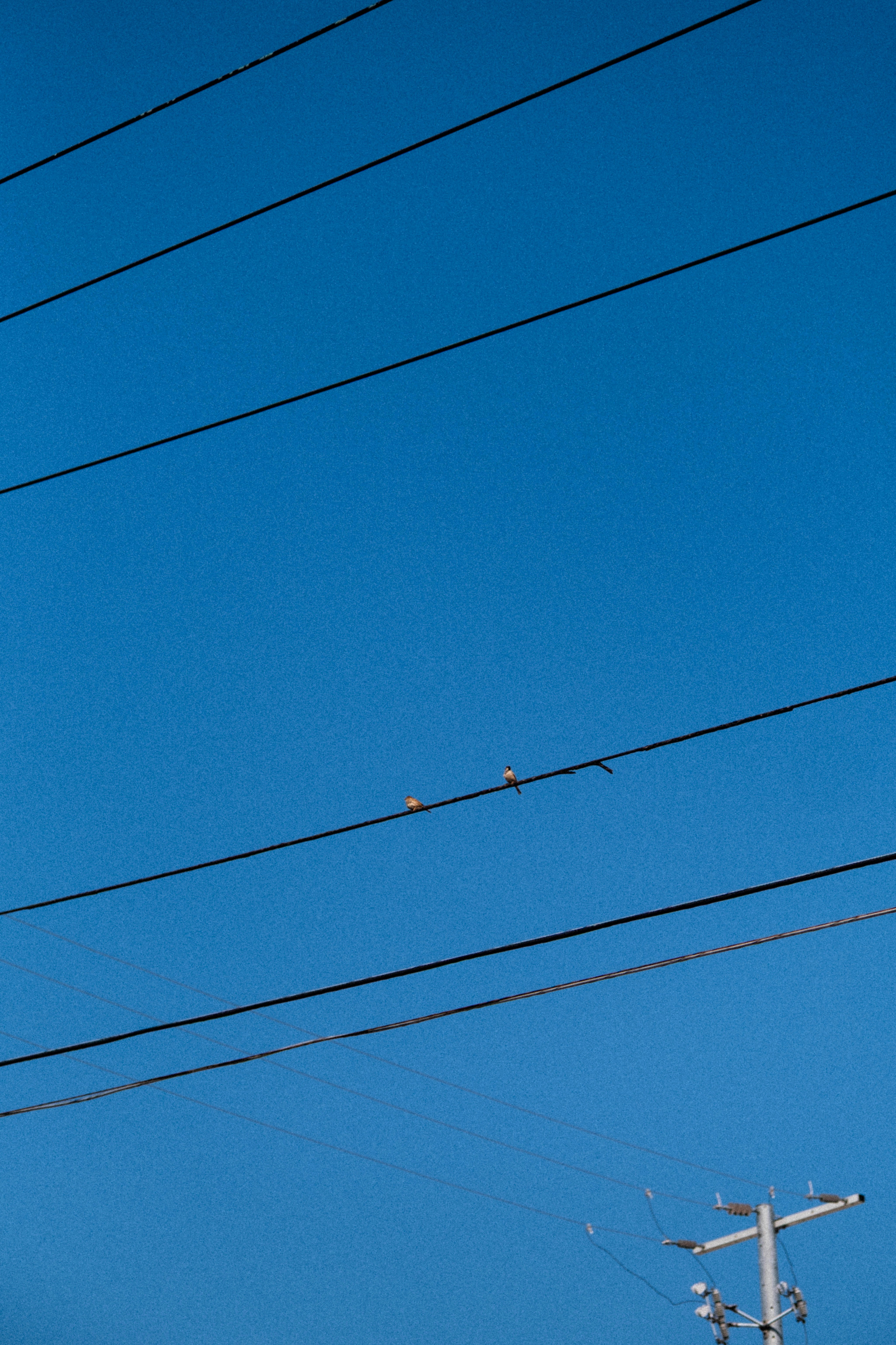 Photo by marsupialpudding