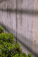 Concrete wall and green bushes alongside each other.