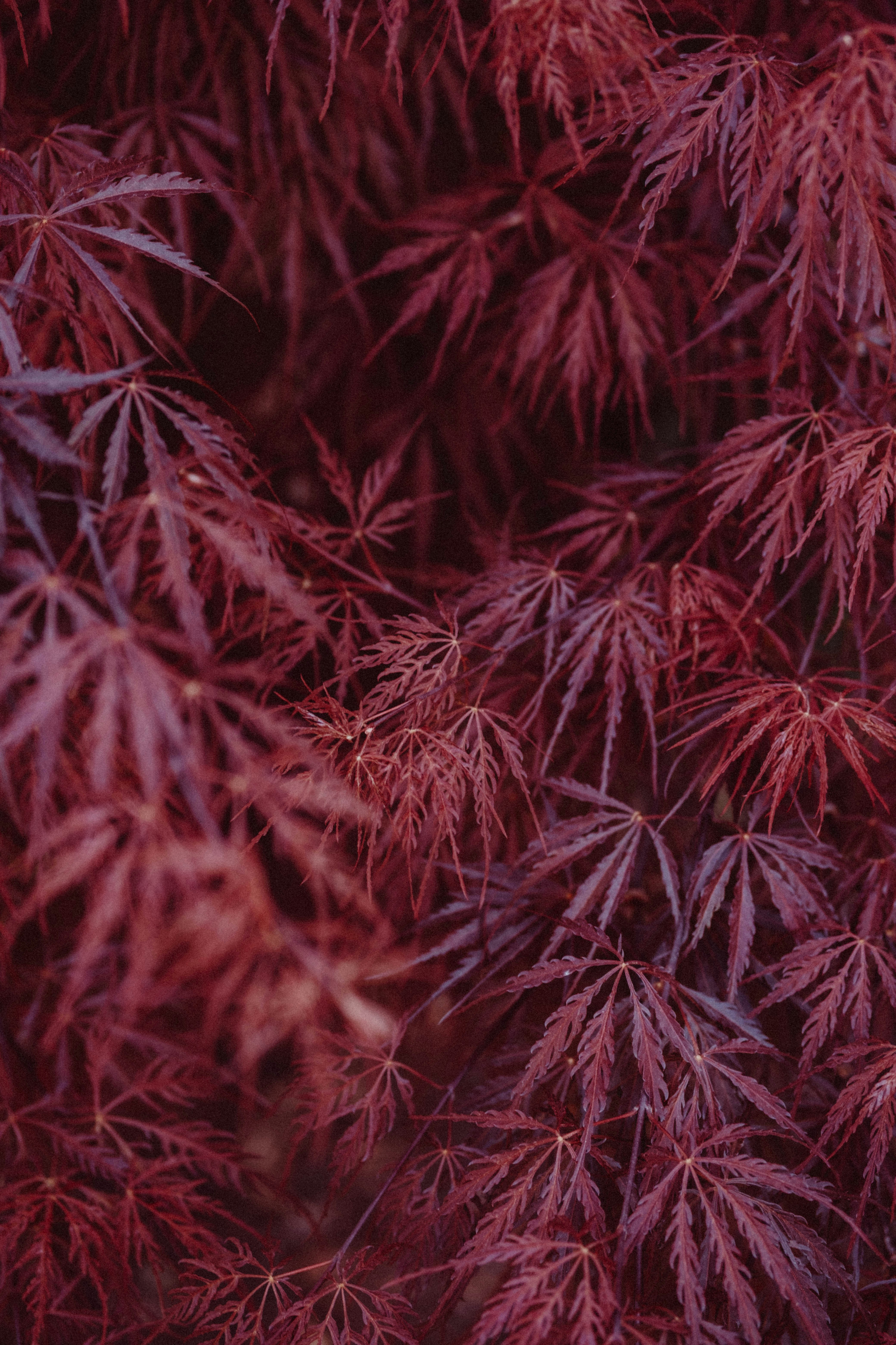 Photo by marsupialpudding