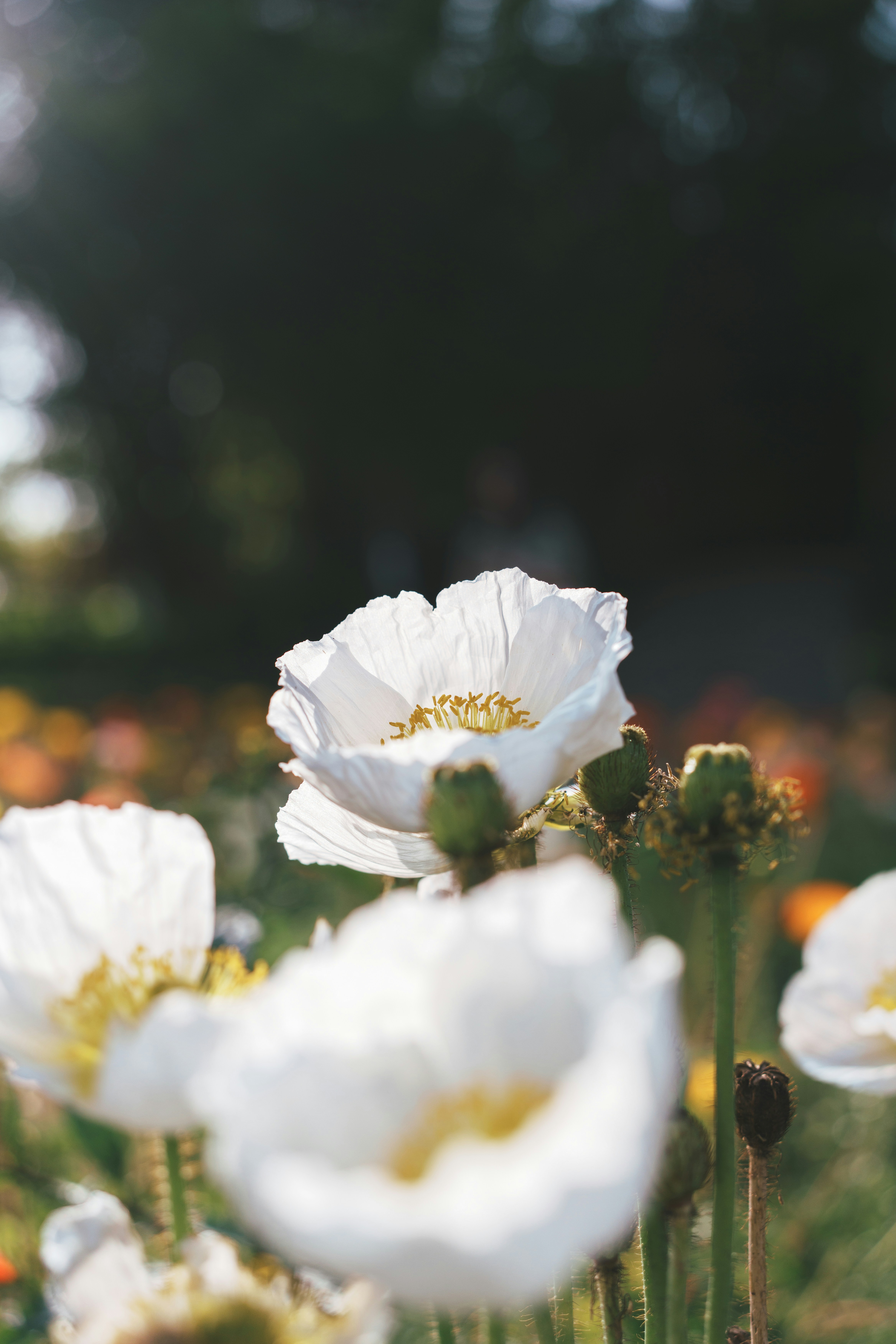 Photo by toxicsmoker