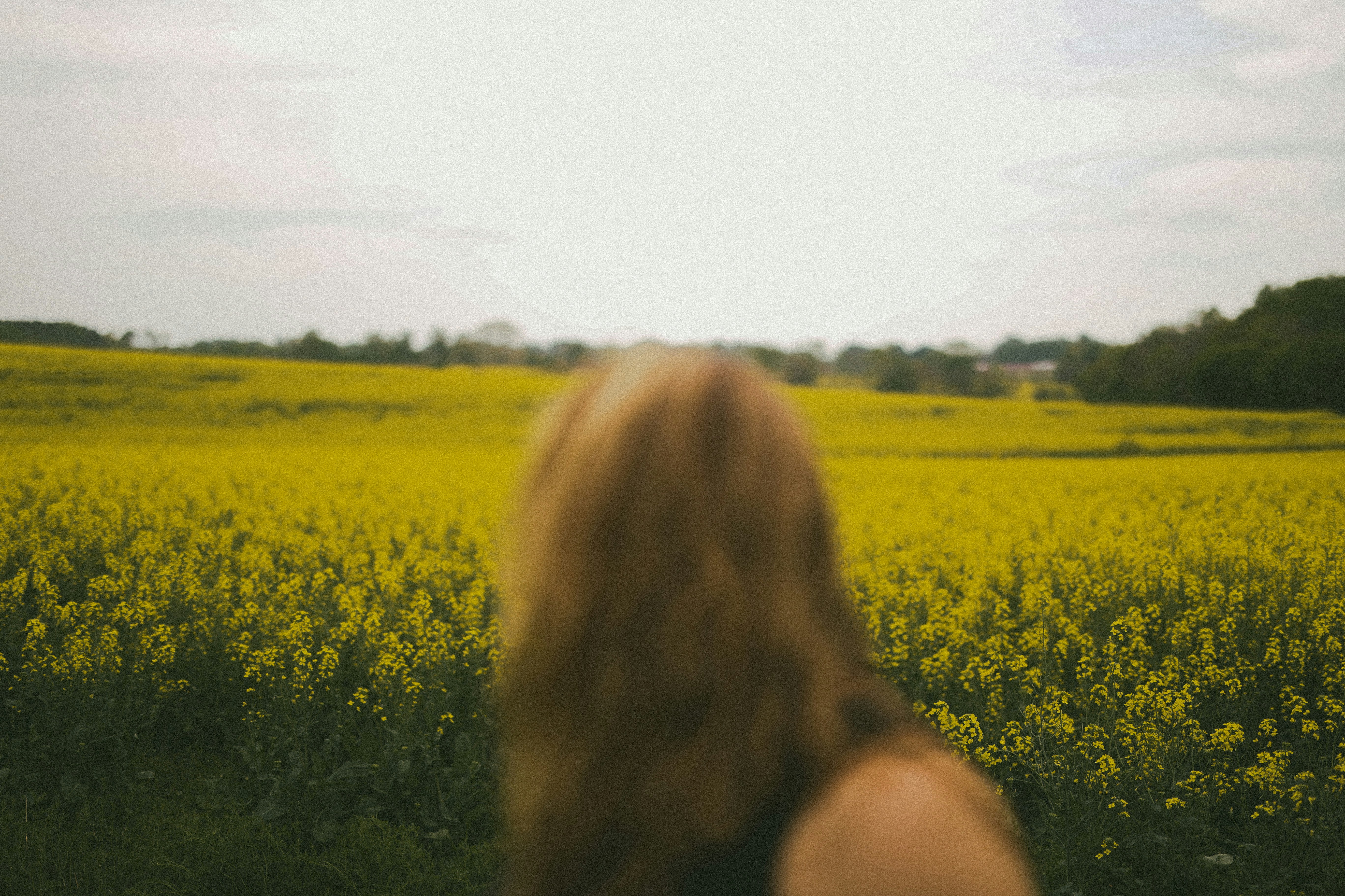 Photo by brookebalentine