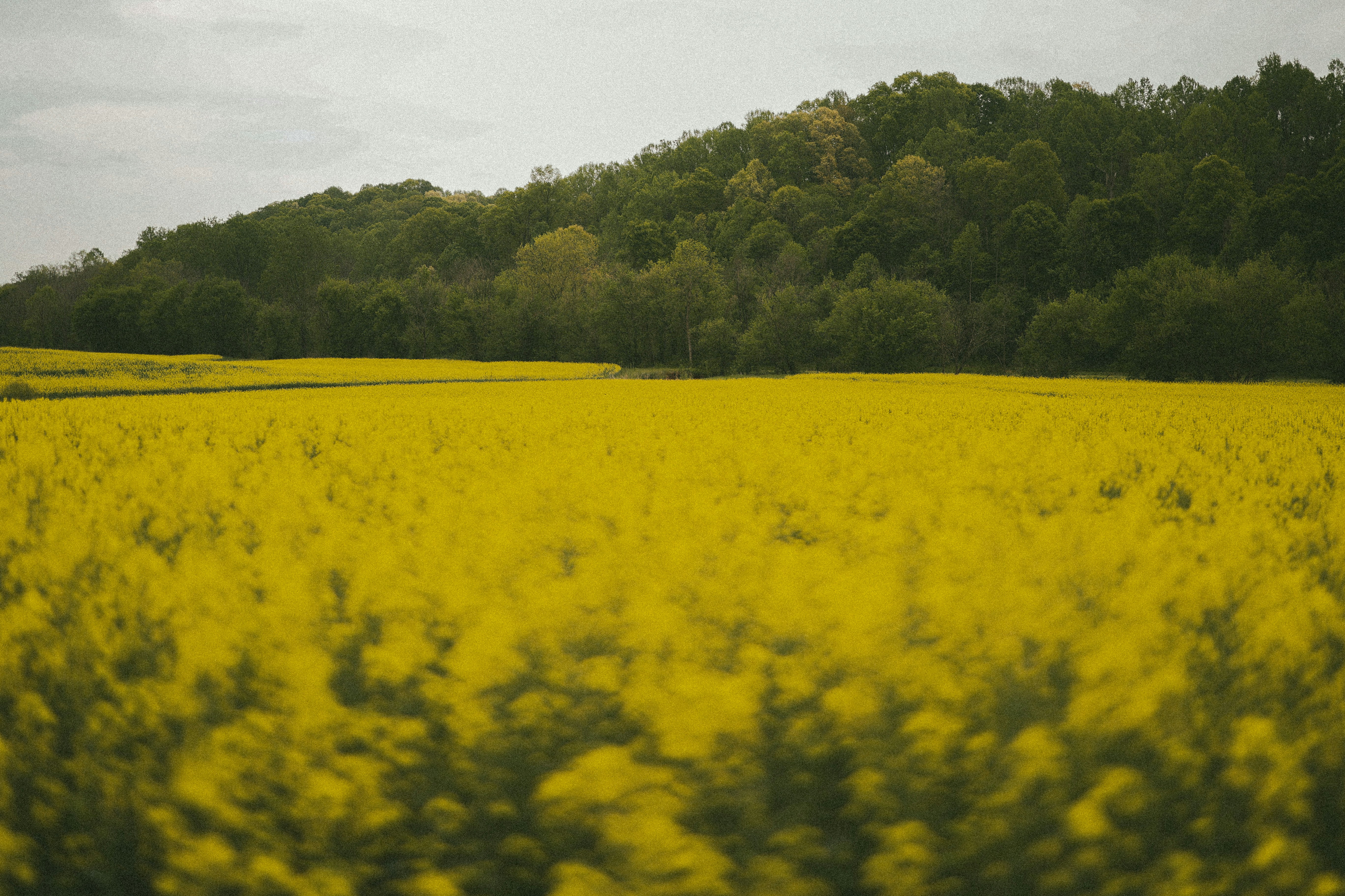 Photo by brookebalentine