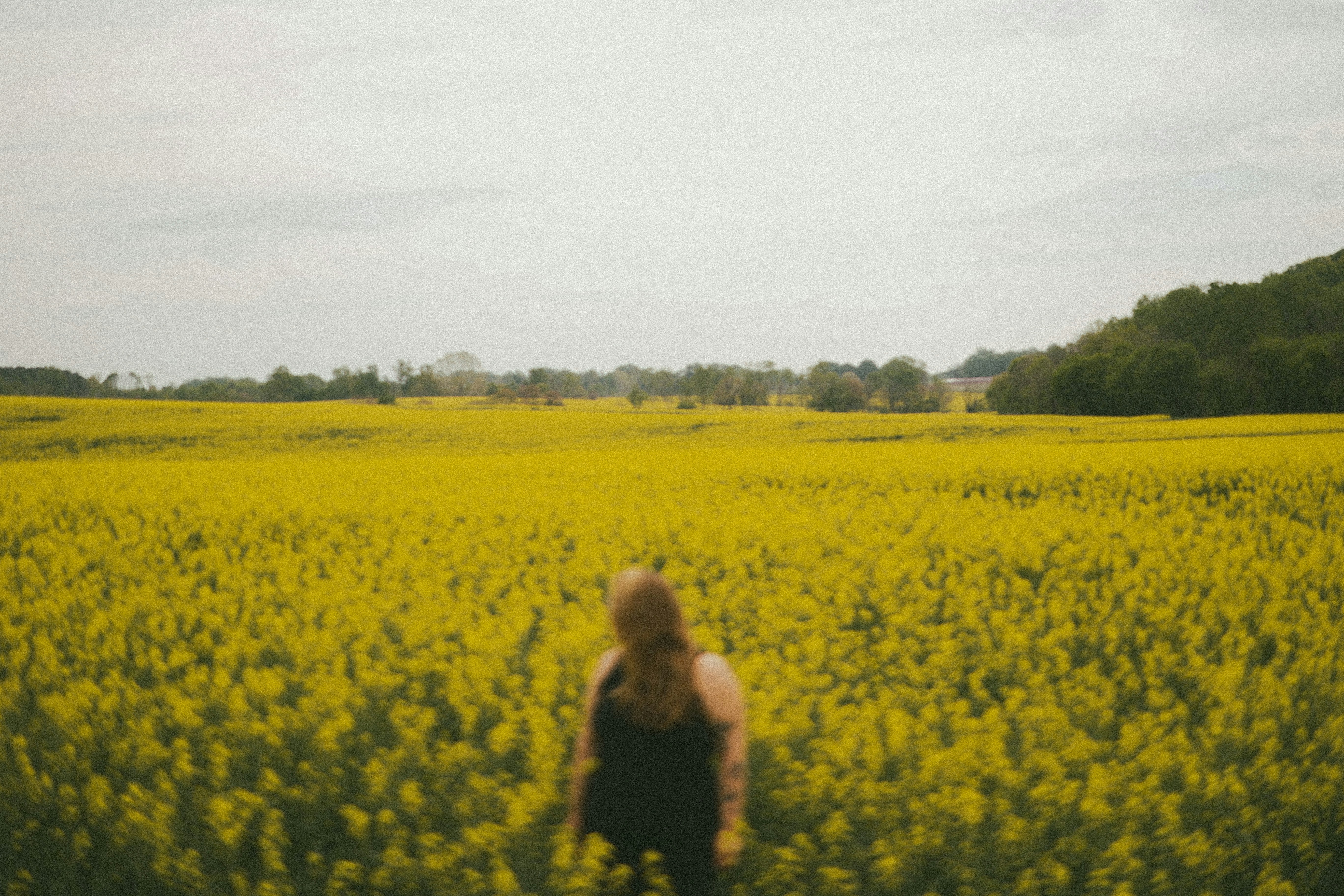 Photo by brookebalentine