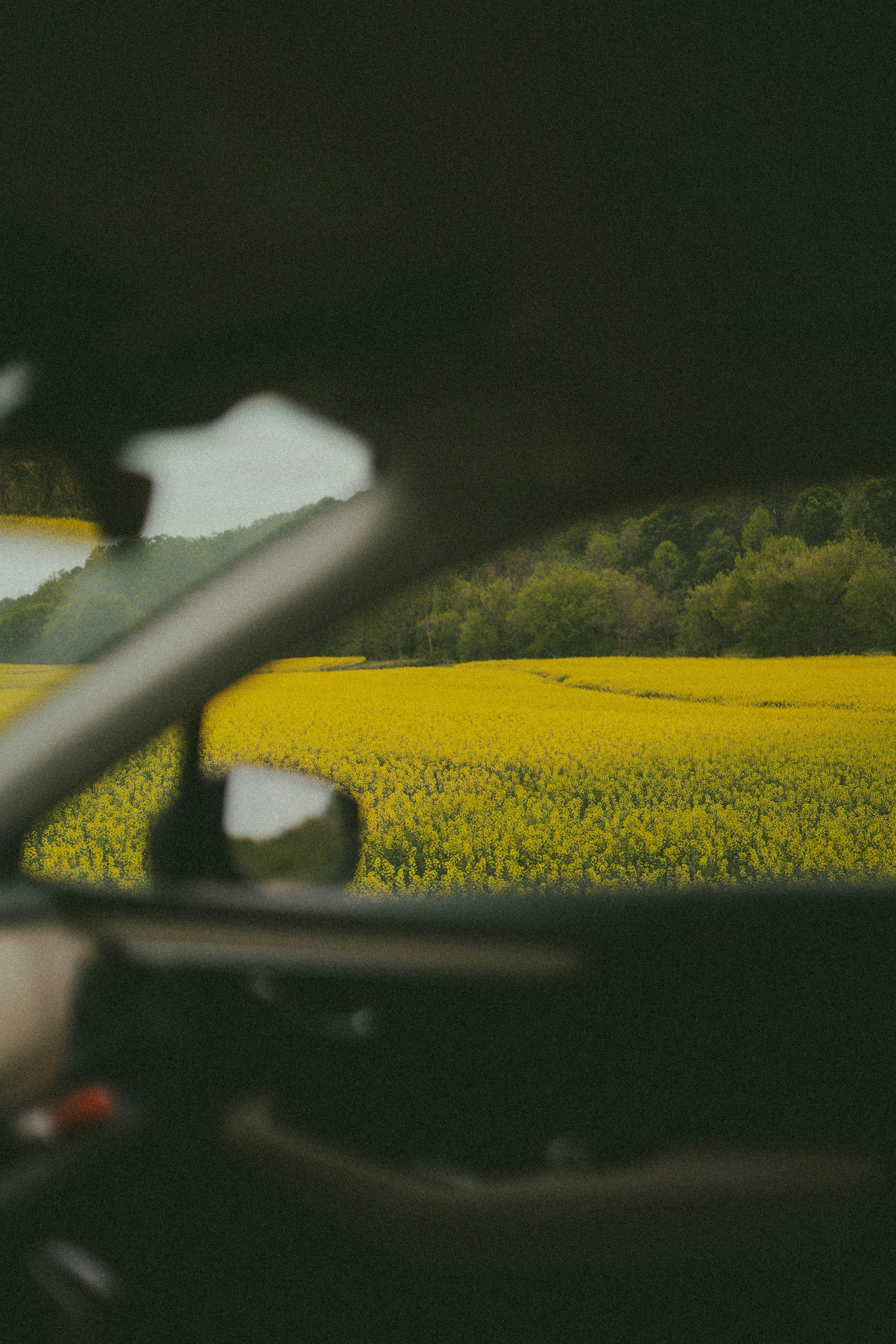 Photo by brookebalentine