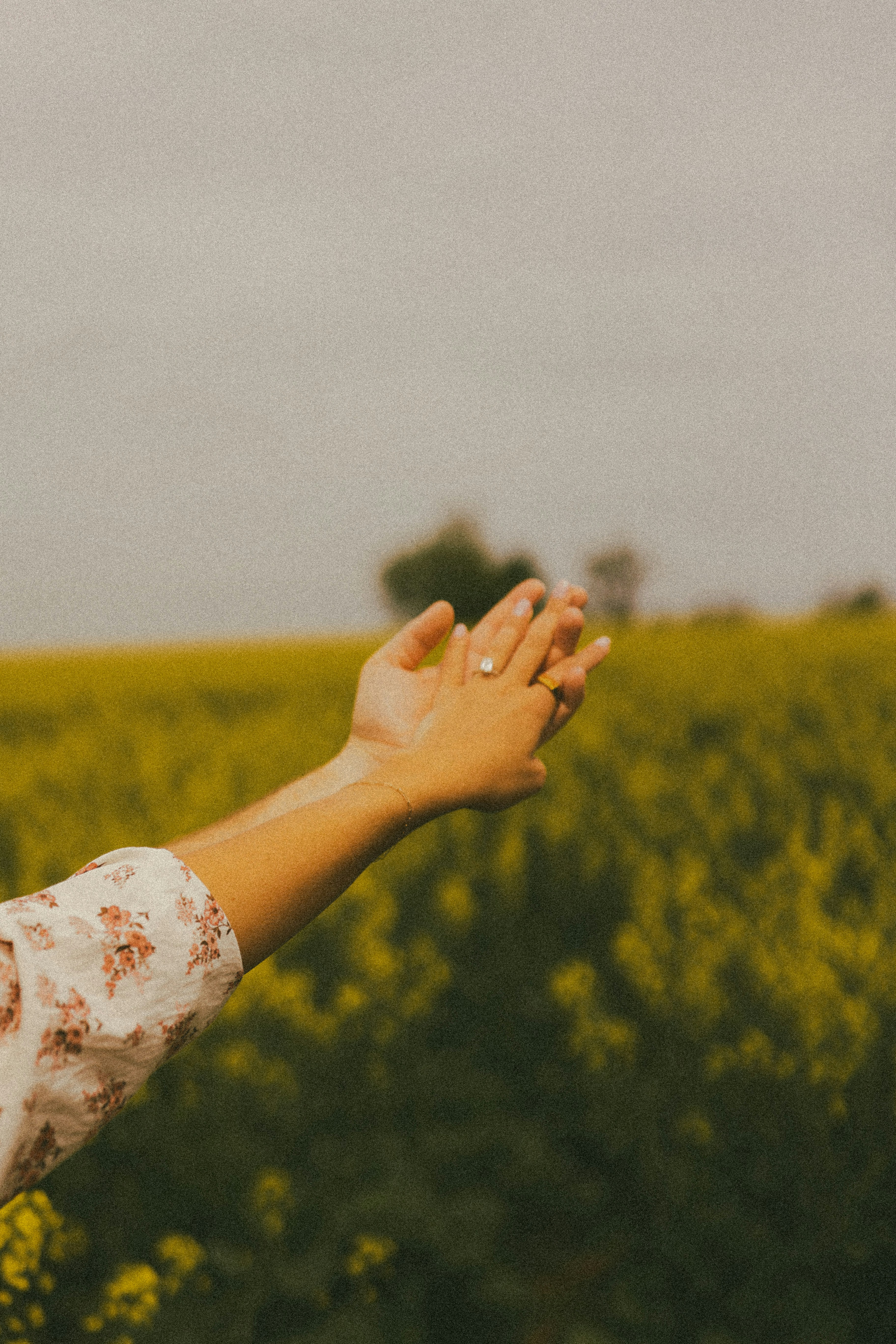 Photo by brookebalentine