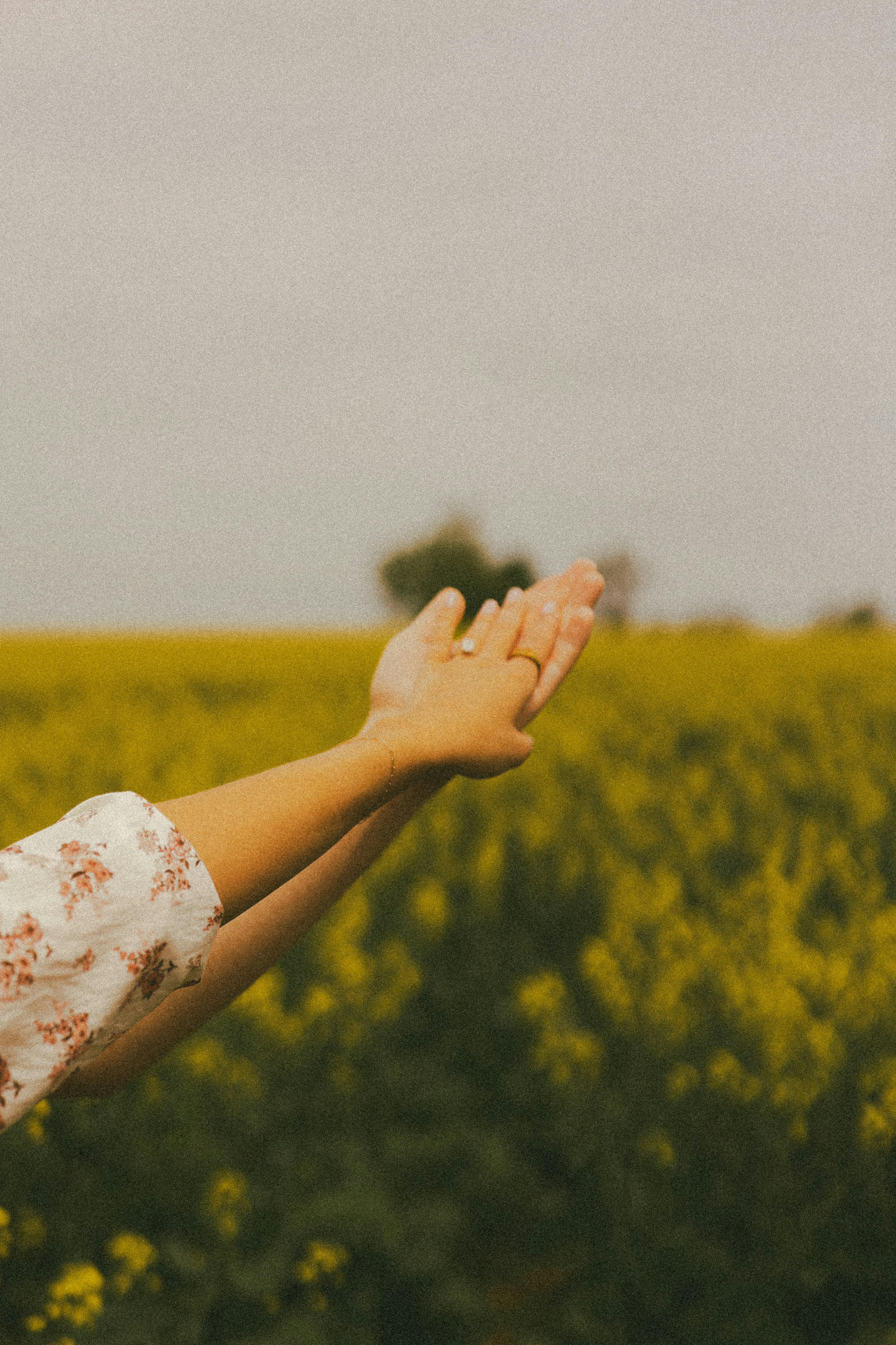 Photo by brookebalentine