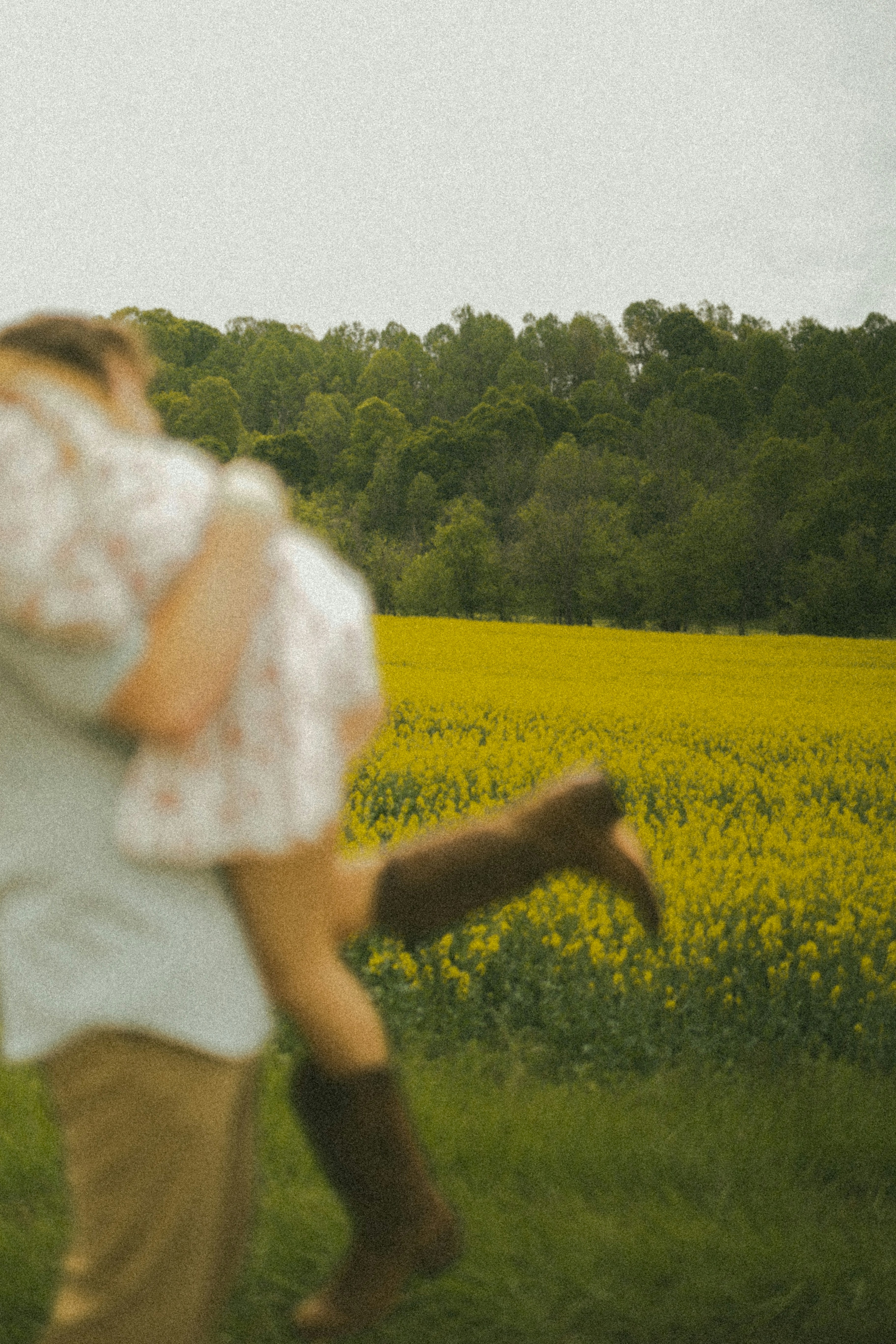 A couple hugs in a field of yellow flowers.