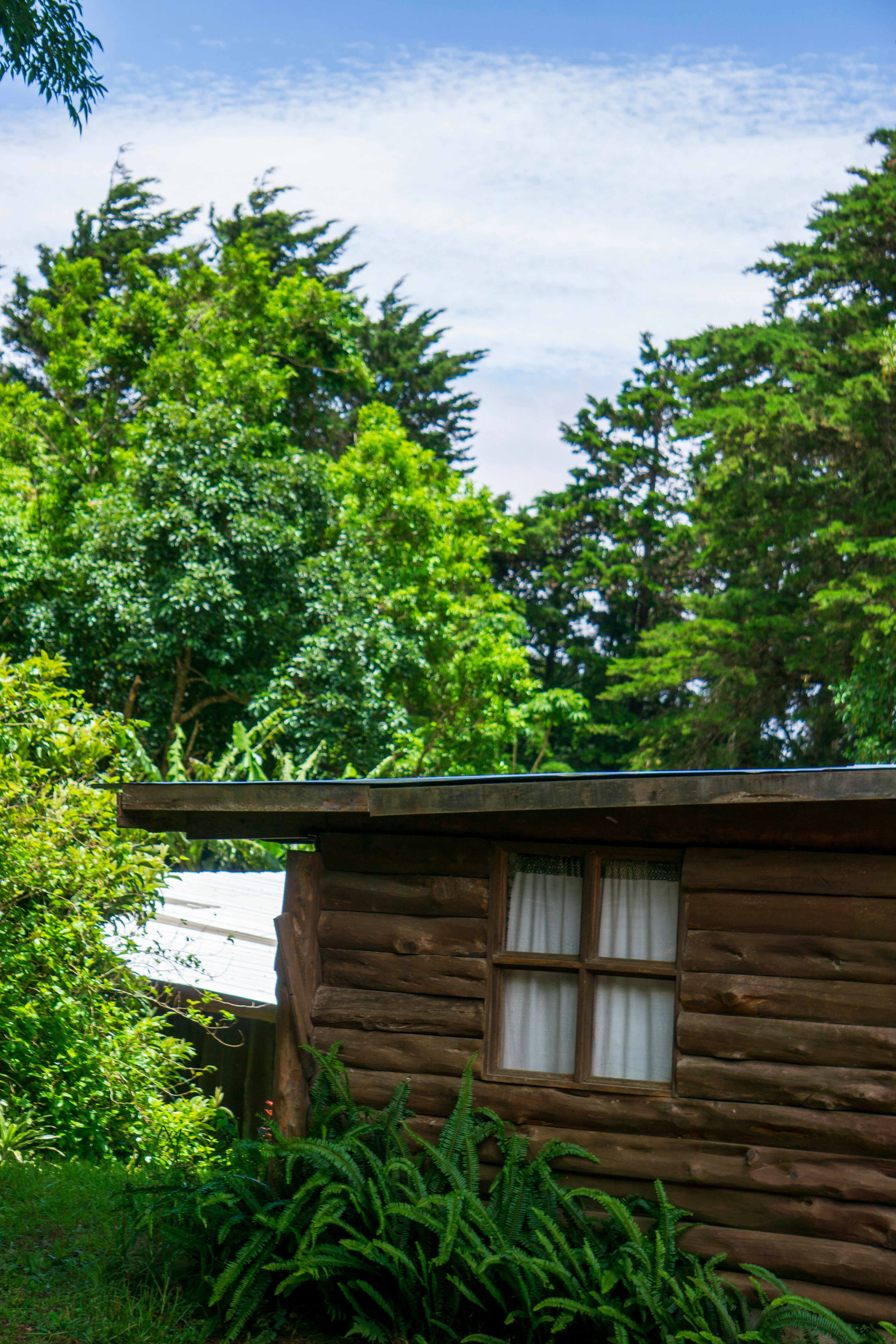 Photo by therandyeffect