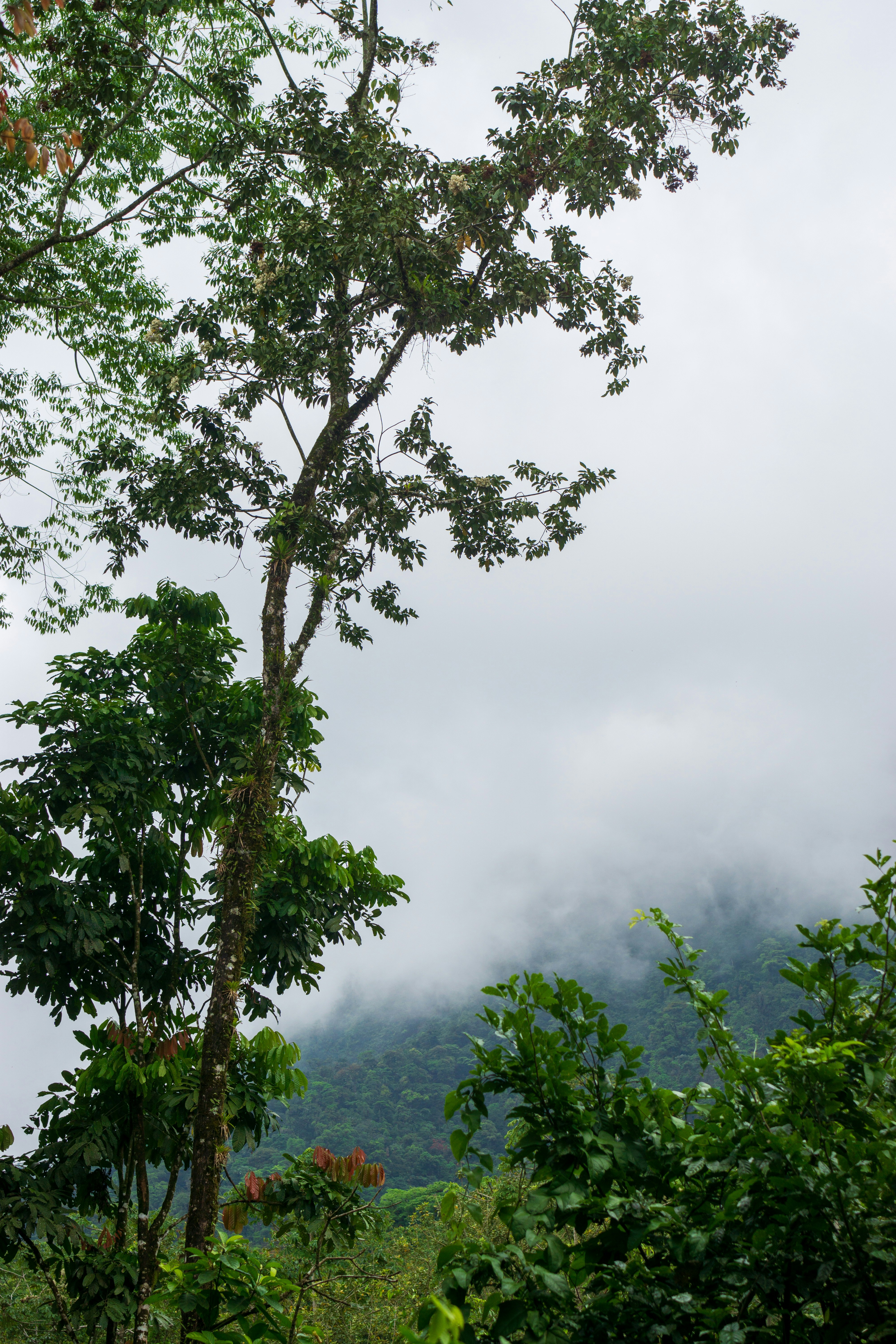 Photo by therandyeffect