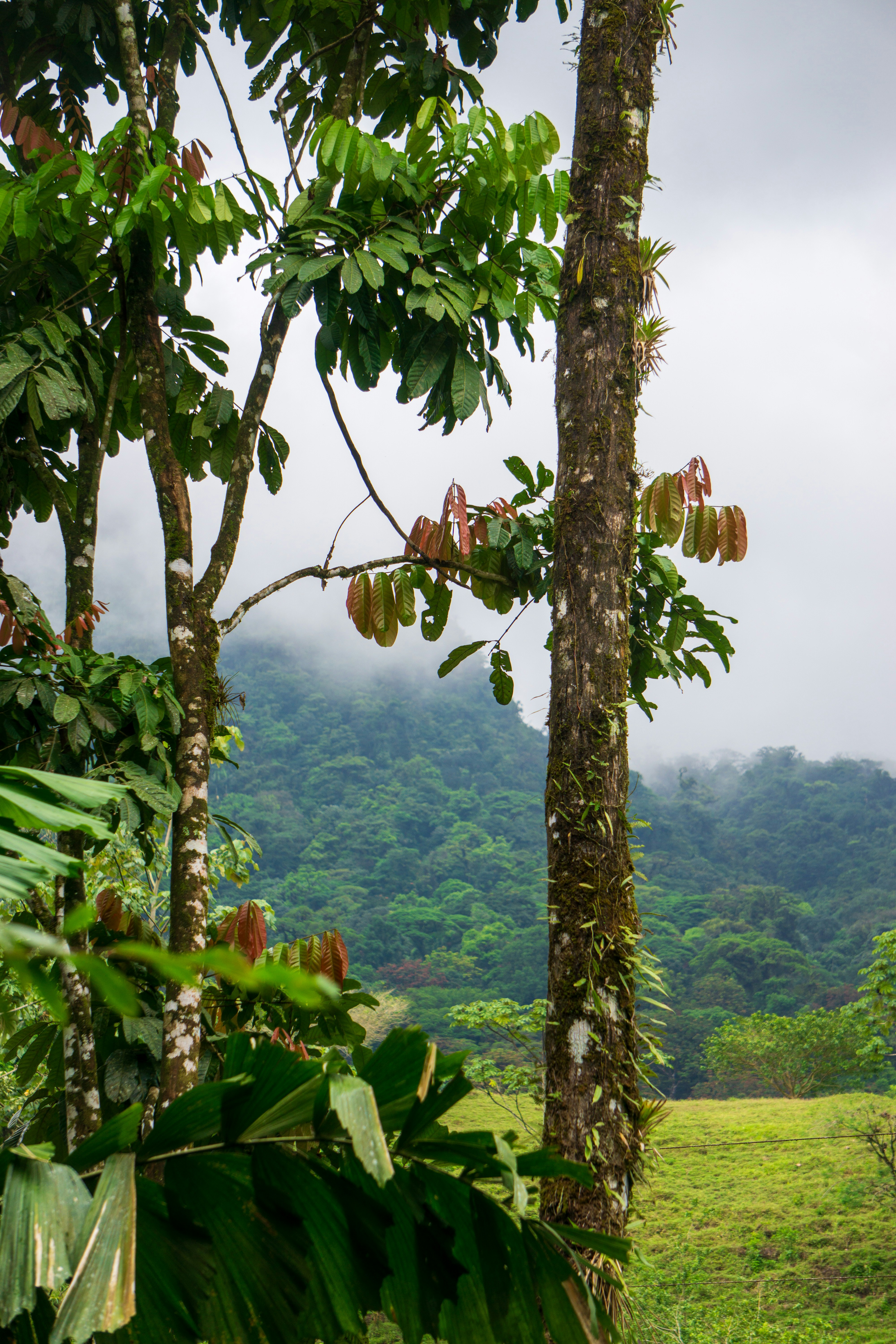 Photo by therandyeffect