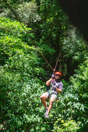 Man ziplining through a lush, green forest.