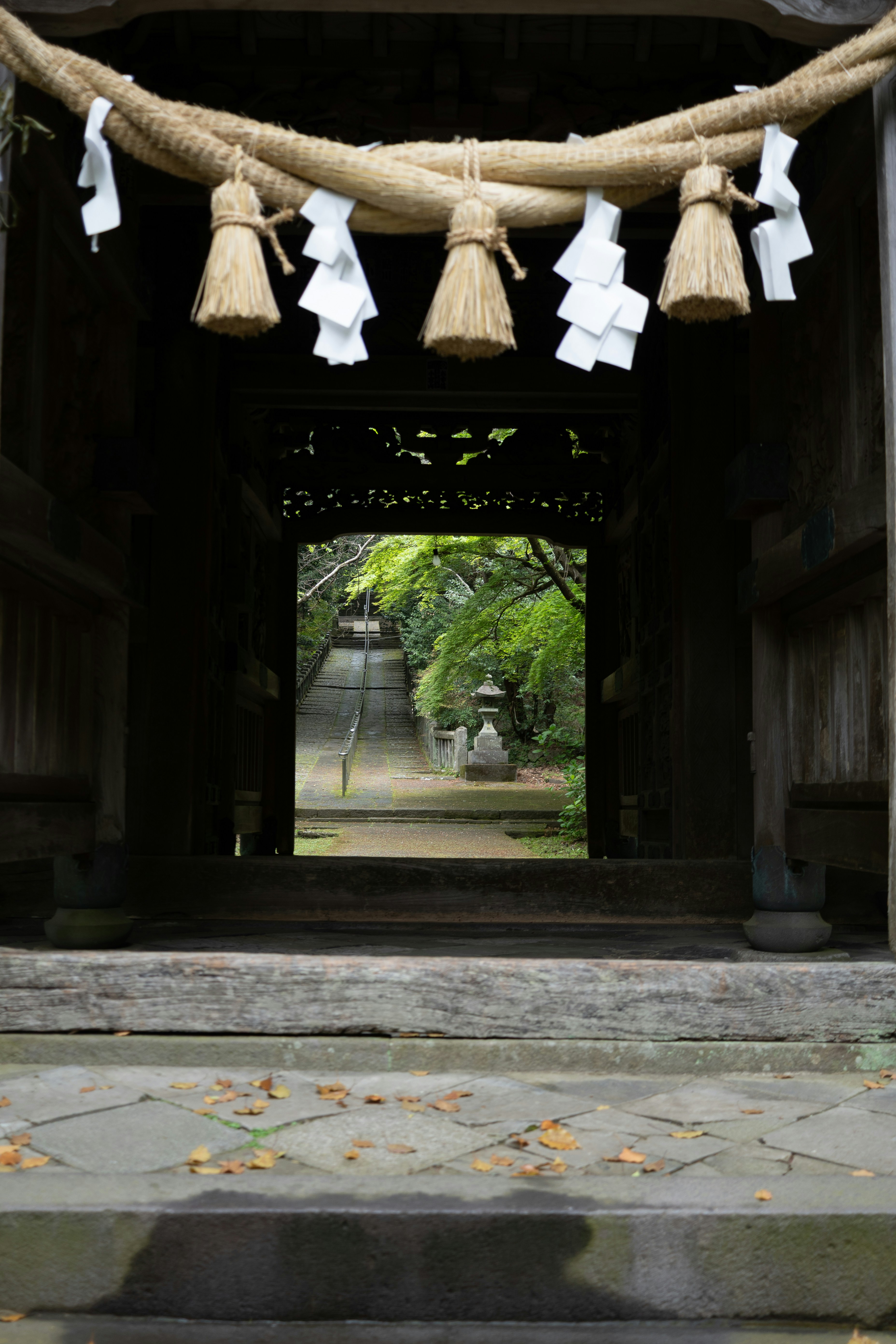 Photo by pafuxu
