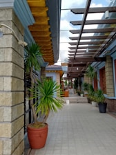 A walkway with buildings and plants.