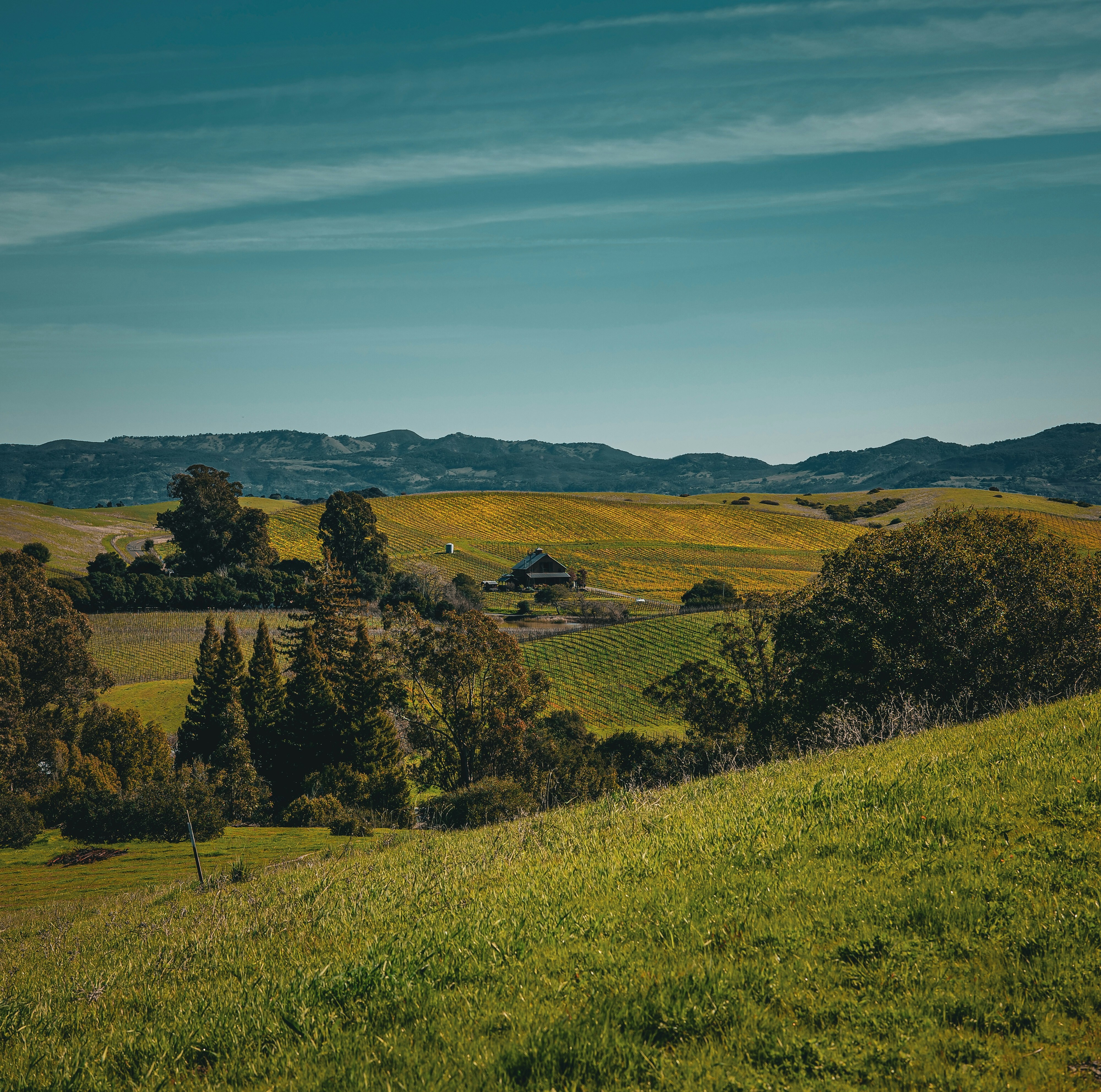 Photo by mericksters13