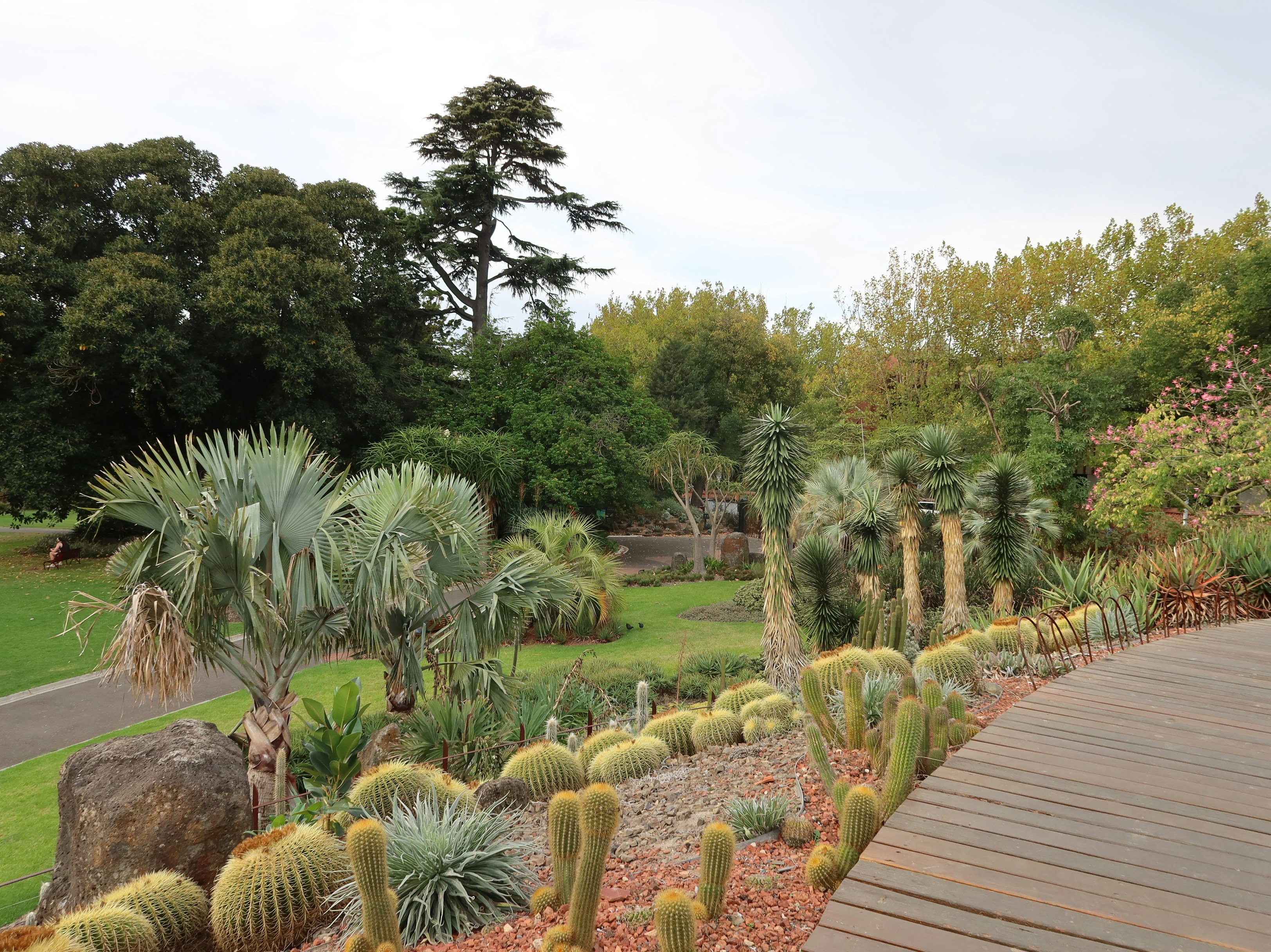 Photo by devinmacdonald