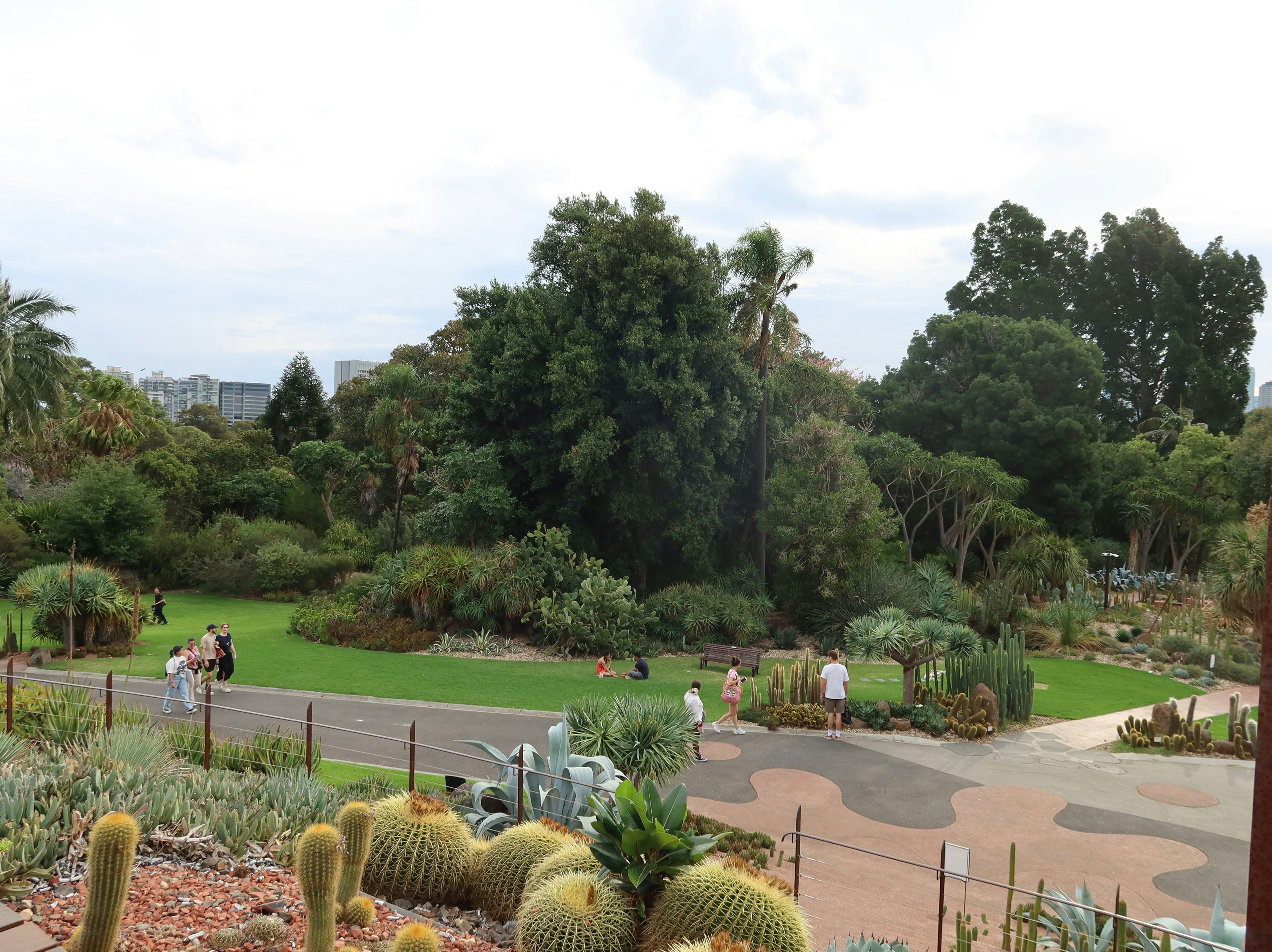 A lush, green botanical garden scene.