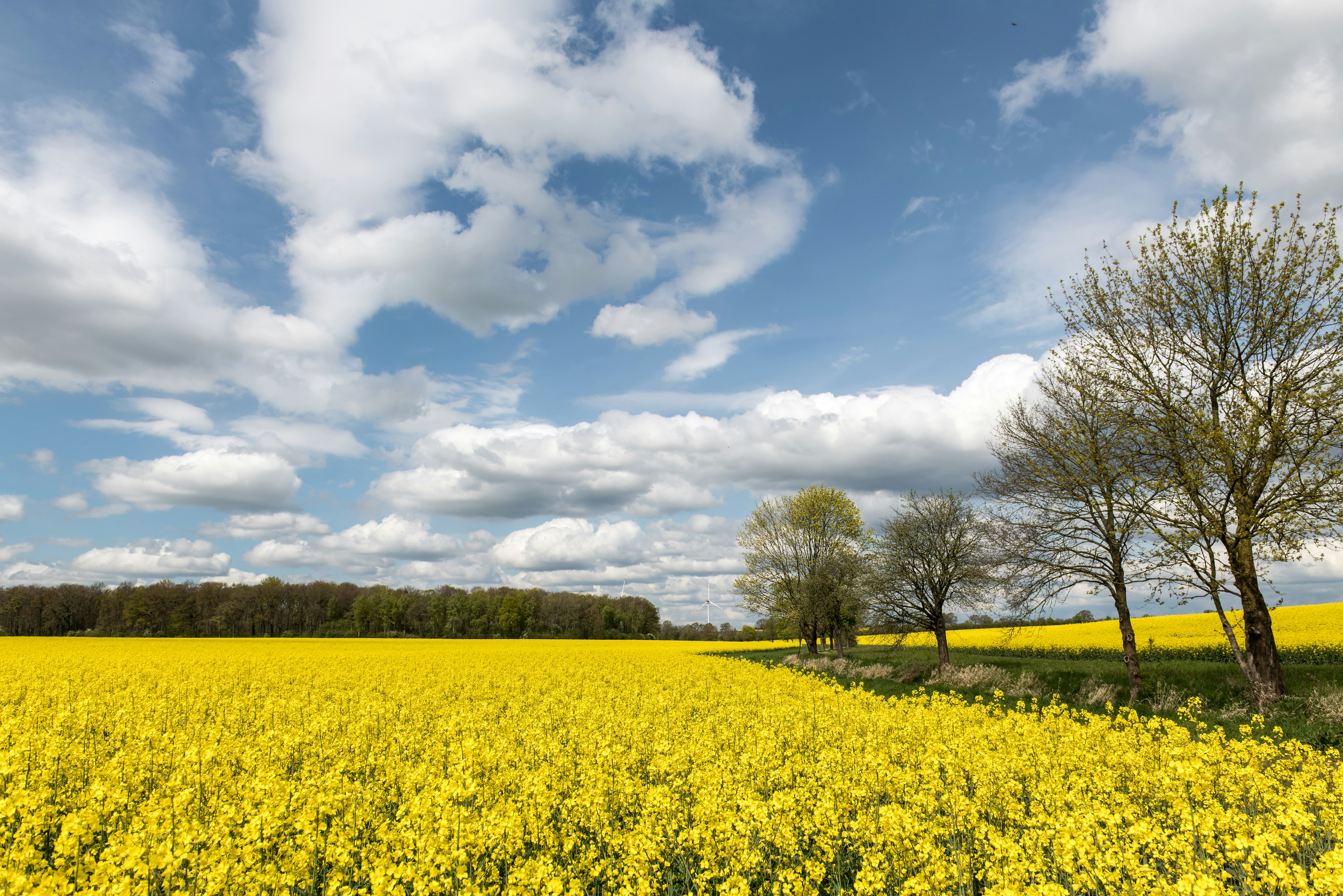 Photo by hamburgmeinefreundin