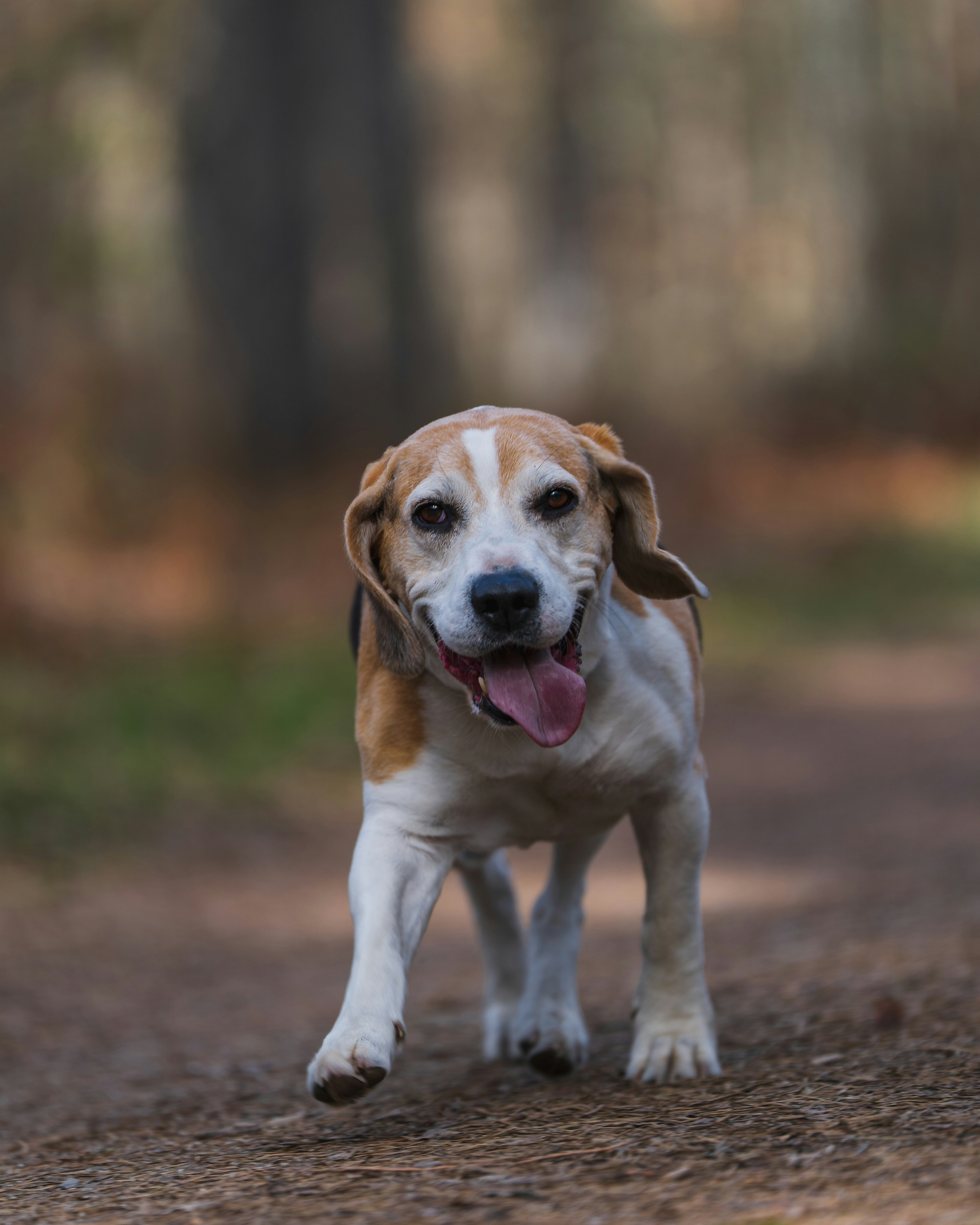 Photo by eduartography