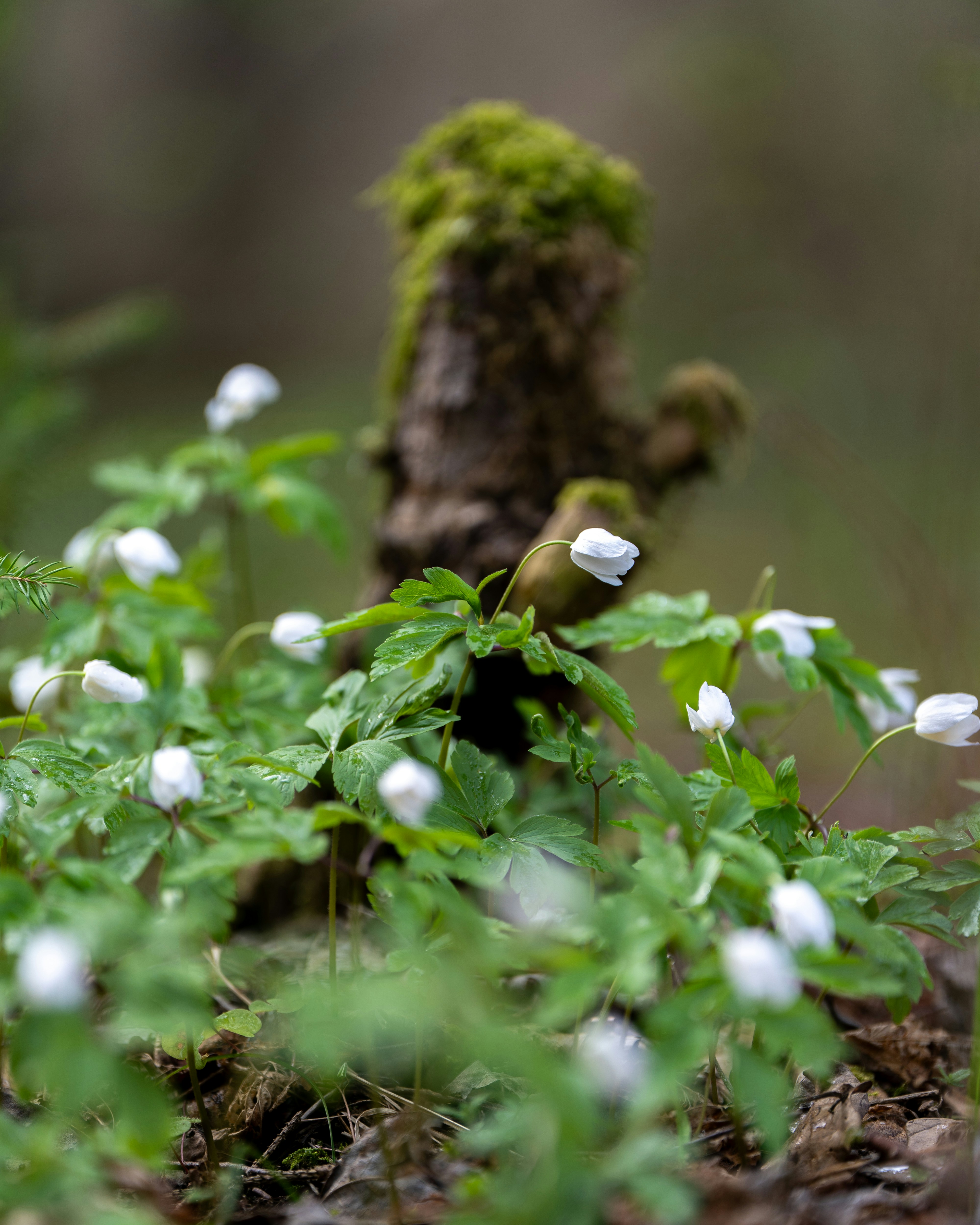 Photo by eduartography