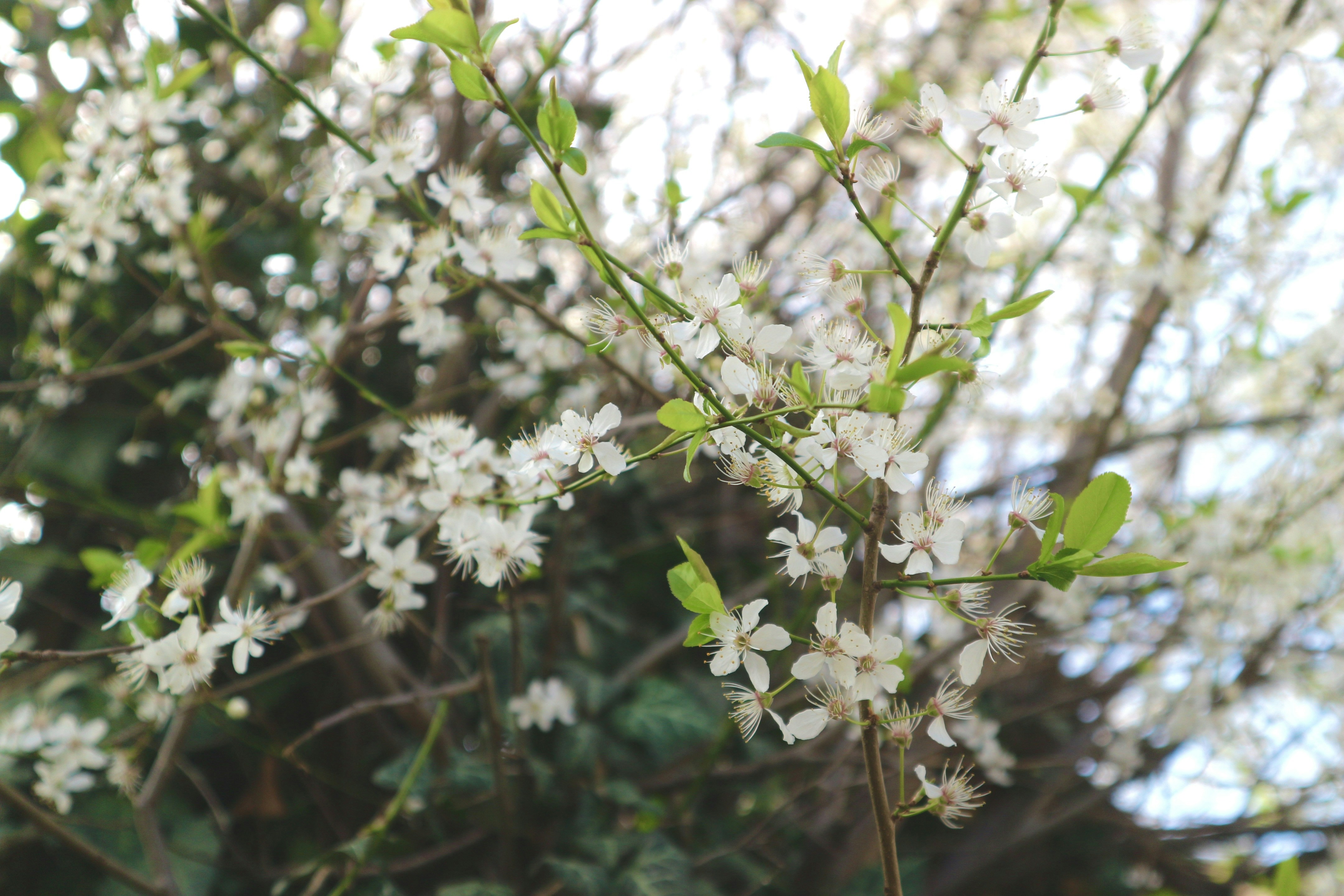 Photo by jennypham93