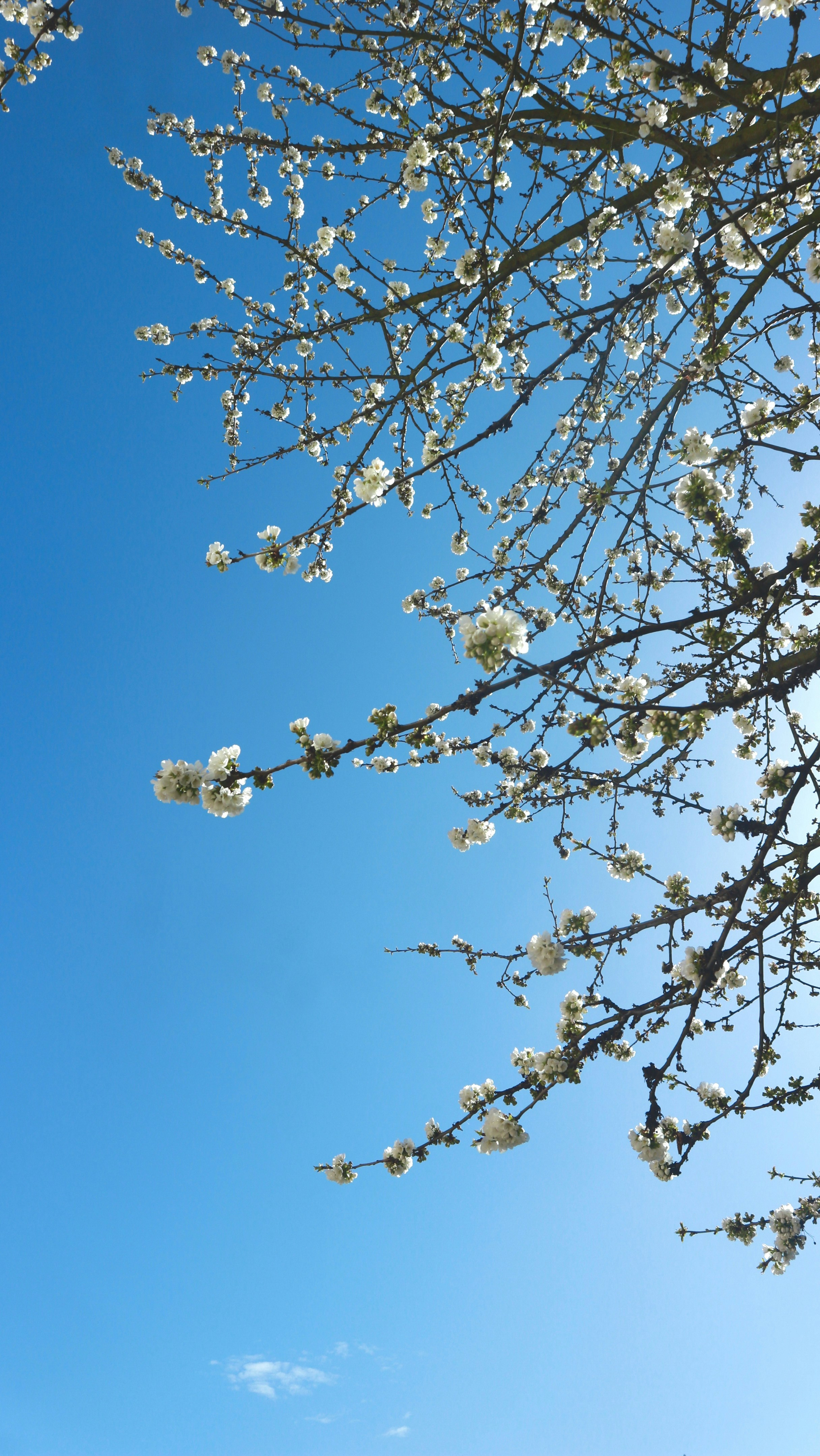 Photo by jennypham93