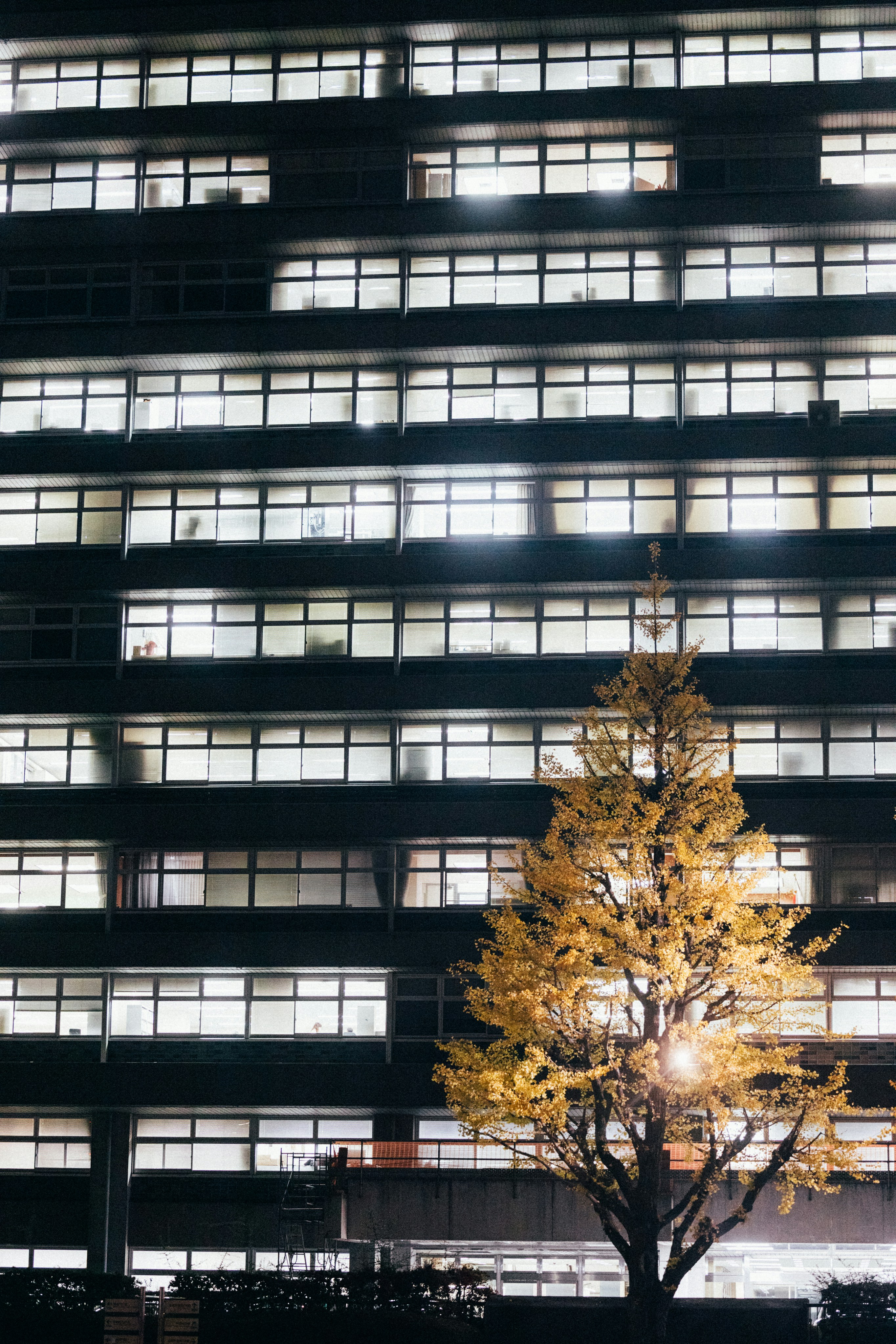 Photo by tsuyoshikozu