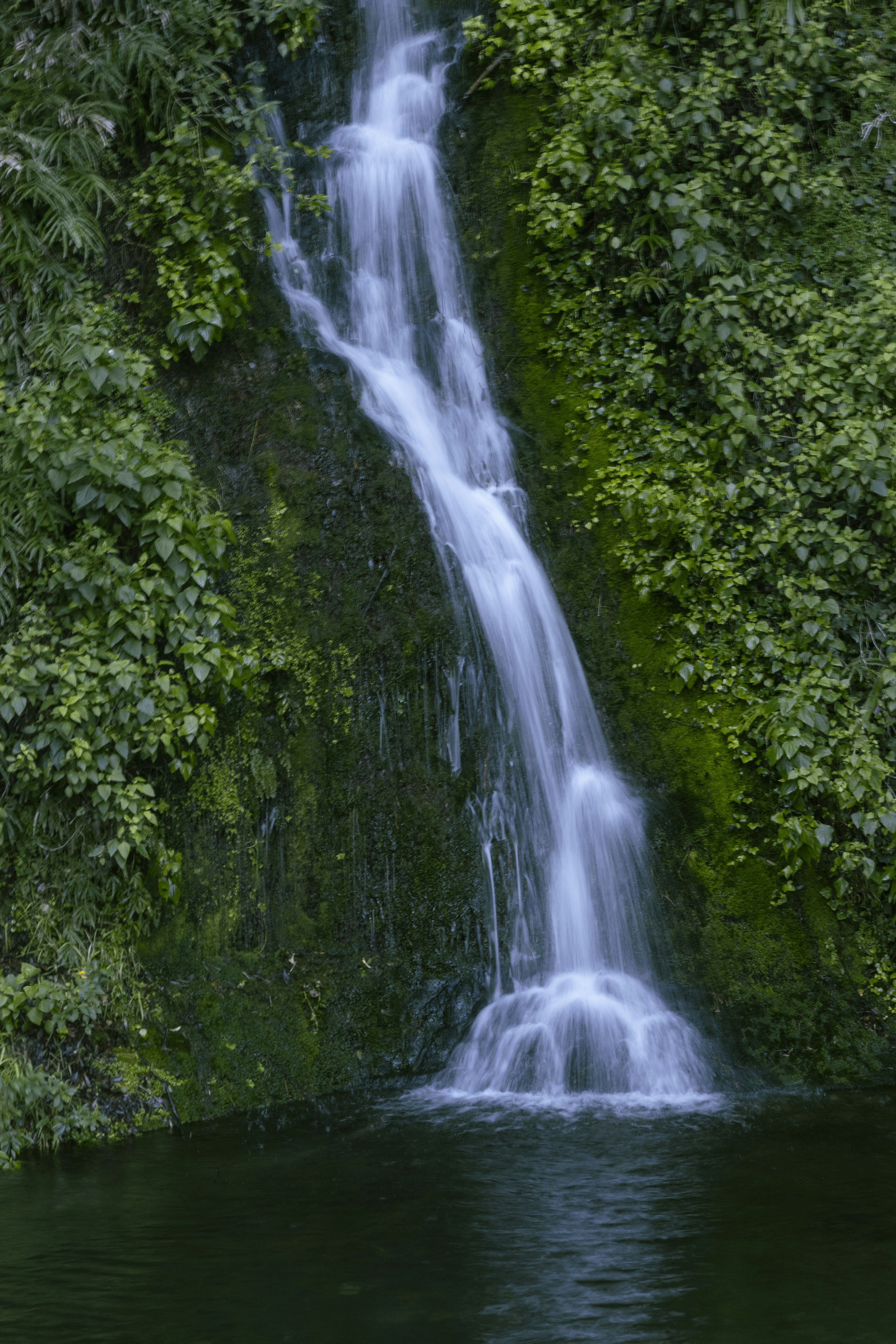 Photo by charlie1224