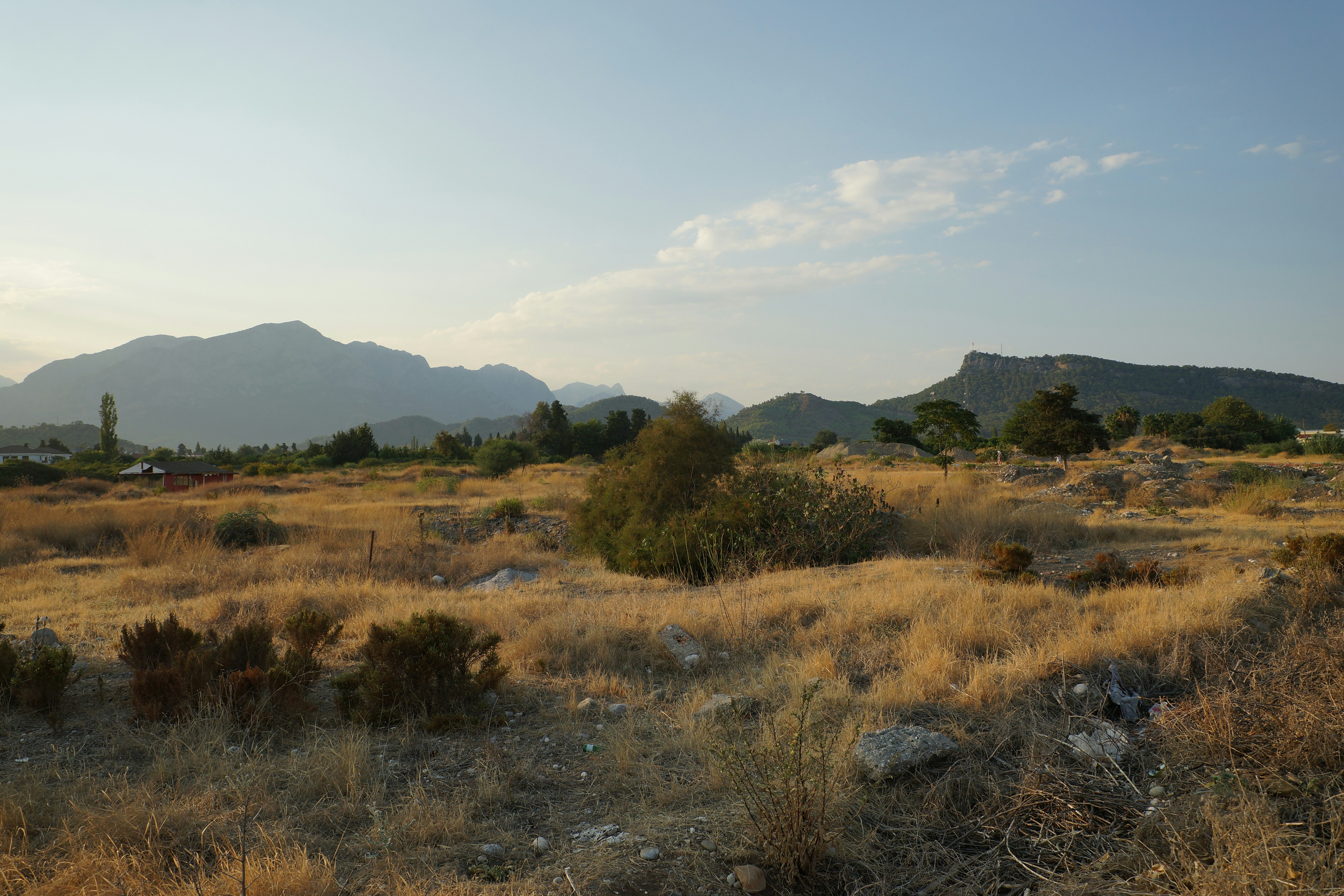 Photo by vadim_shevyrin