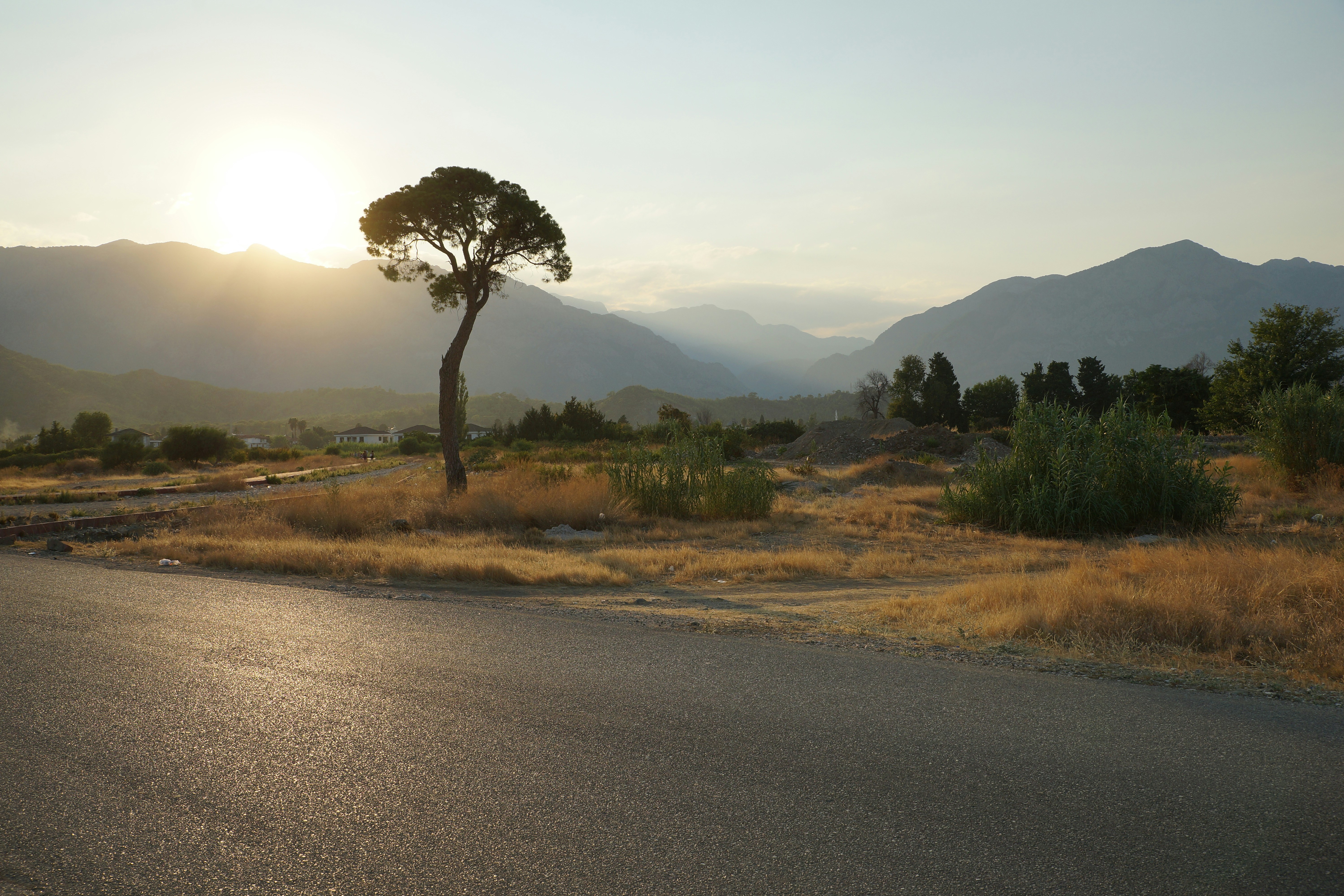 Photo by vadim_shevyrin