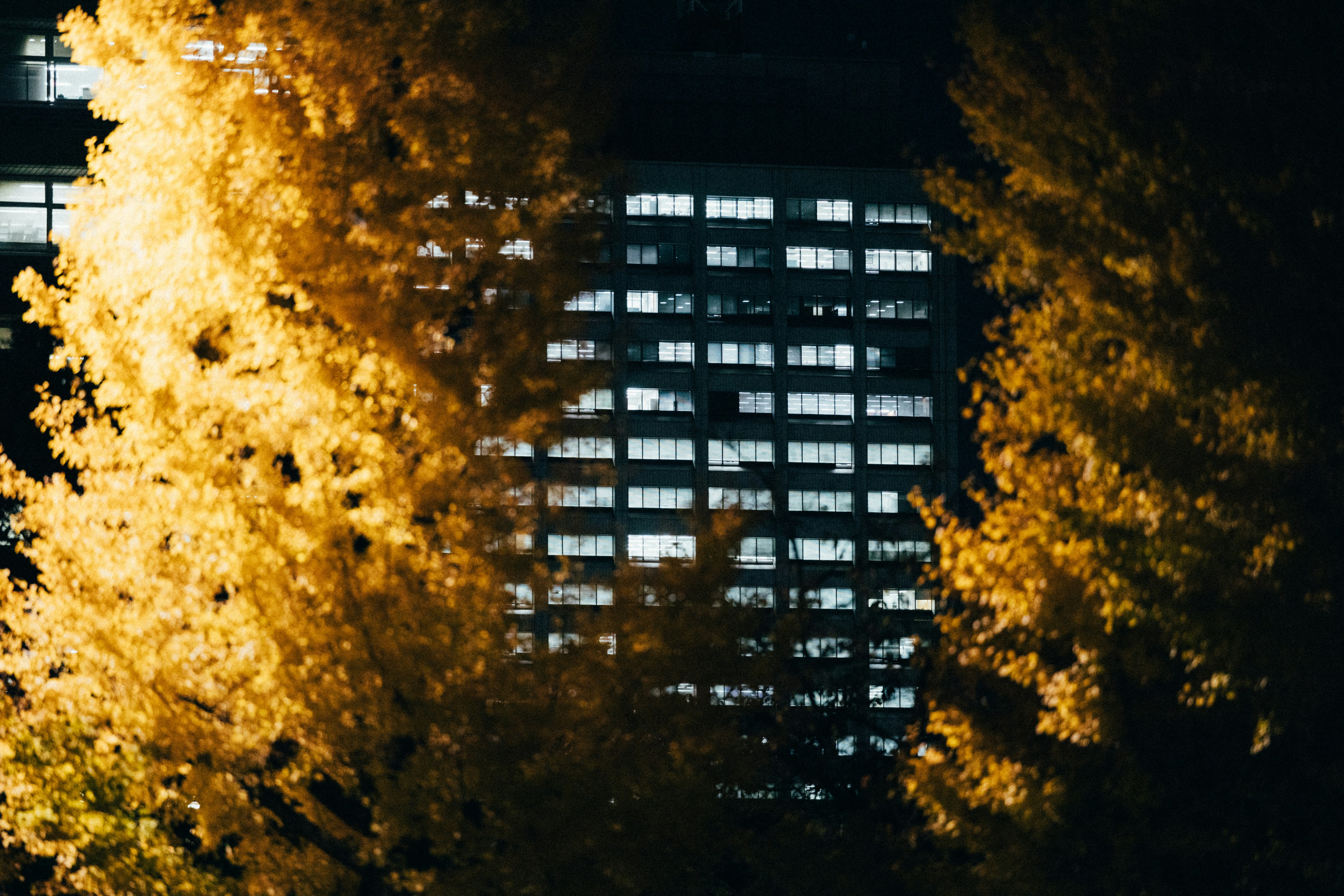 Photo by tsuyoshikozu