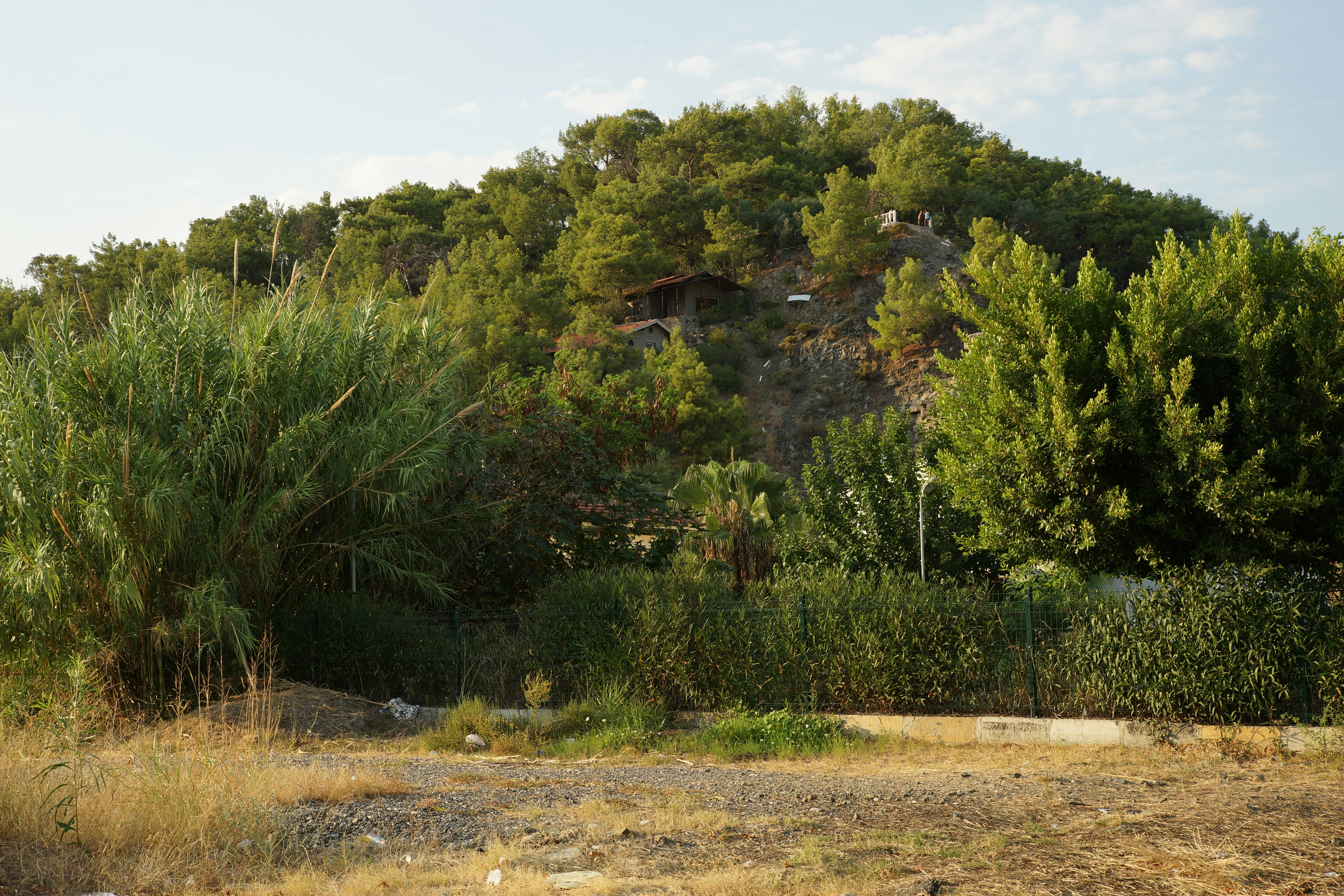 Photo by vadim_shevyrin