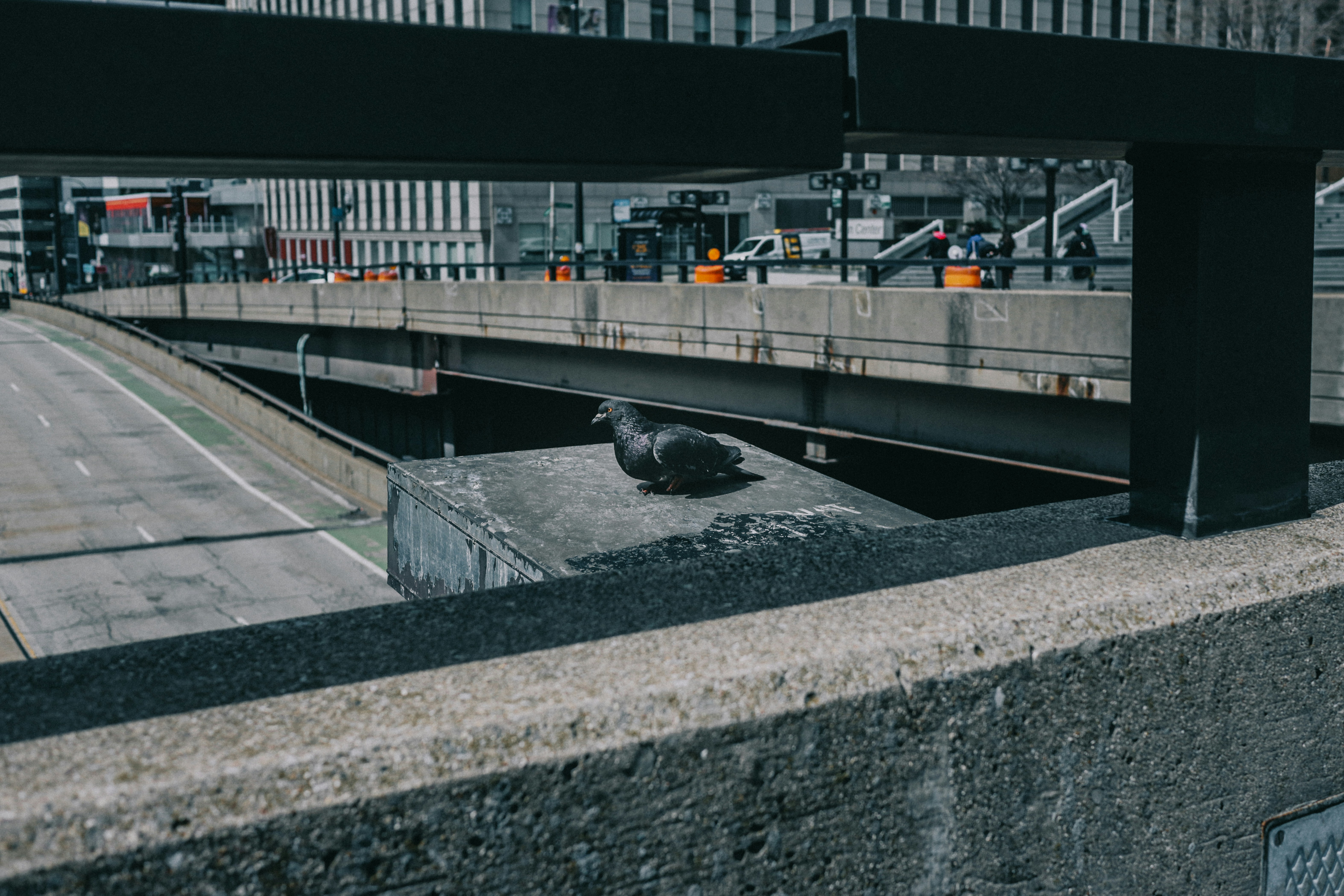 A pigeon rests amidst urban concrete structures.