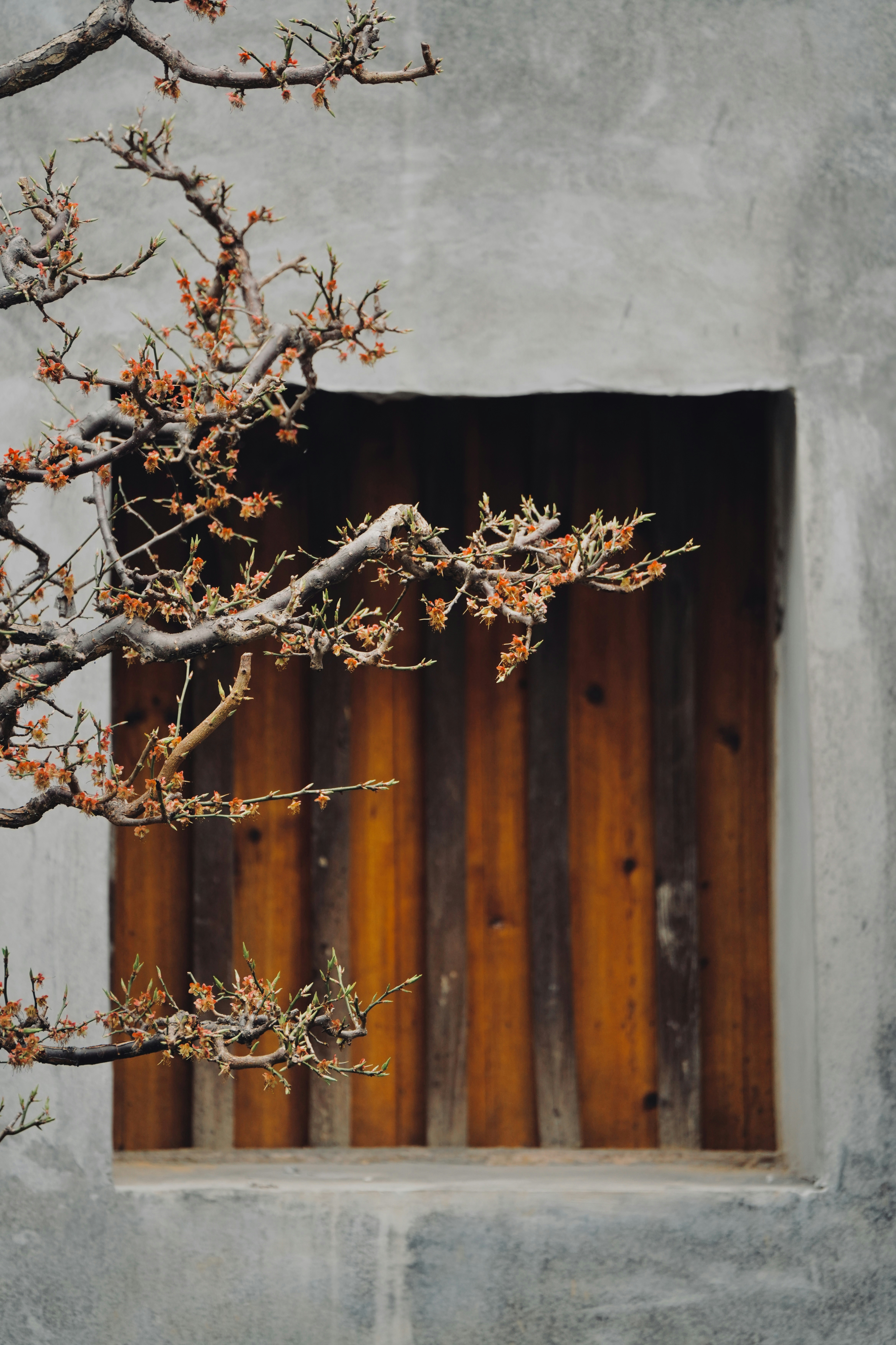 Photo by cardia_gong