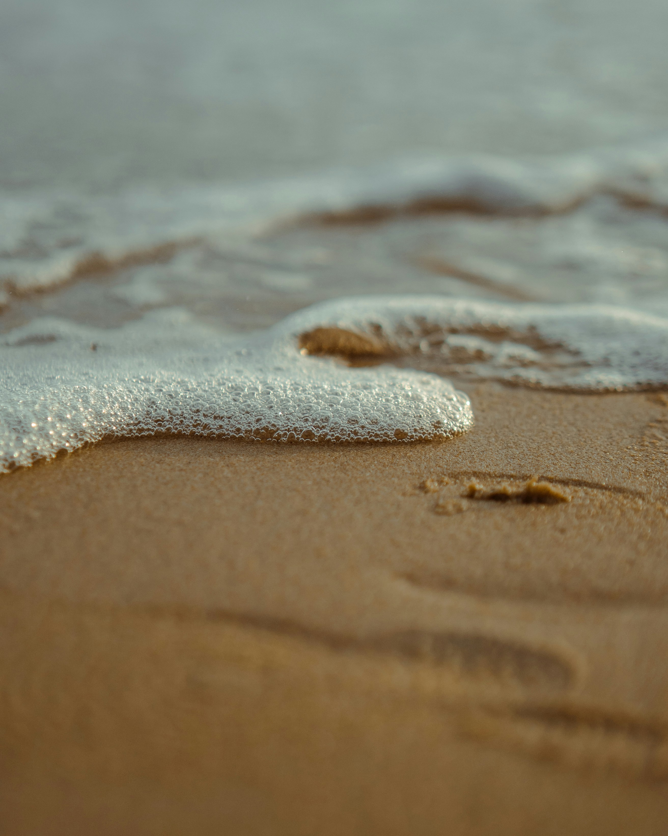 Photo by wish_species