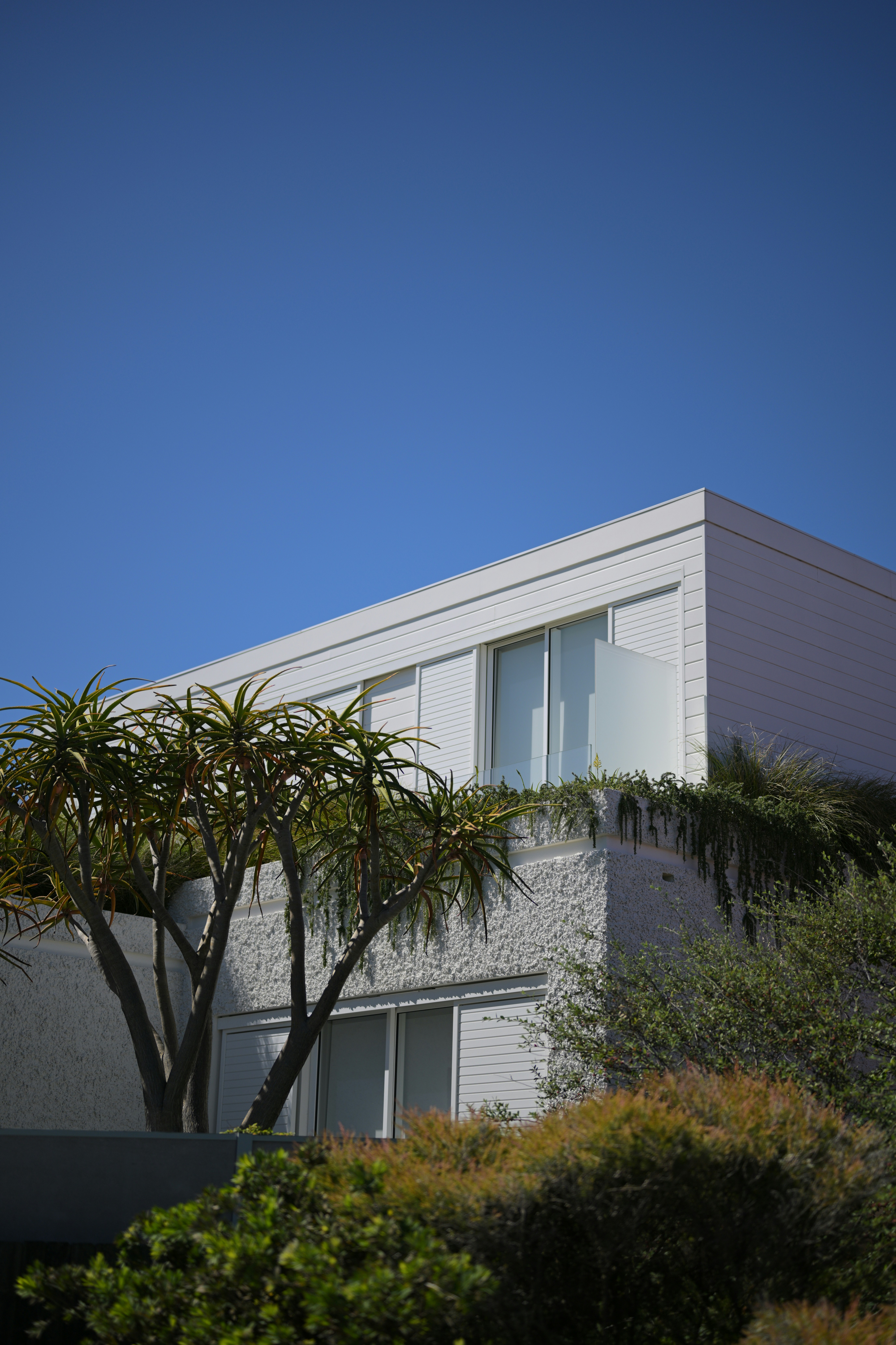 Photo by bathroom_surveillance