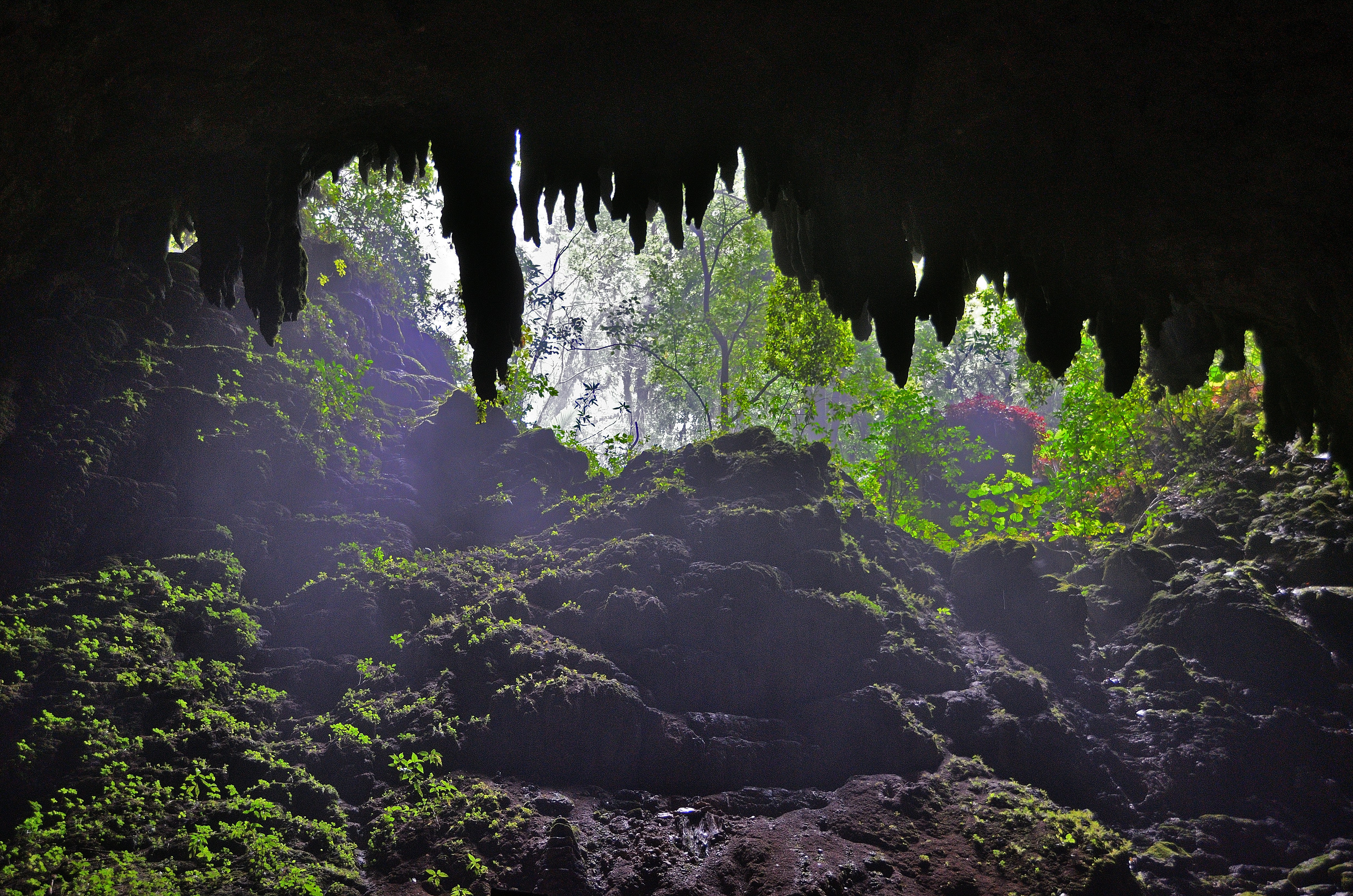 Masters of Moisture Management (image credits: unsplash)