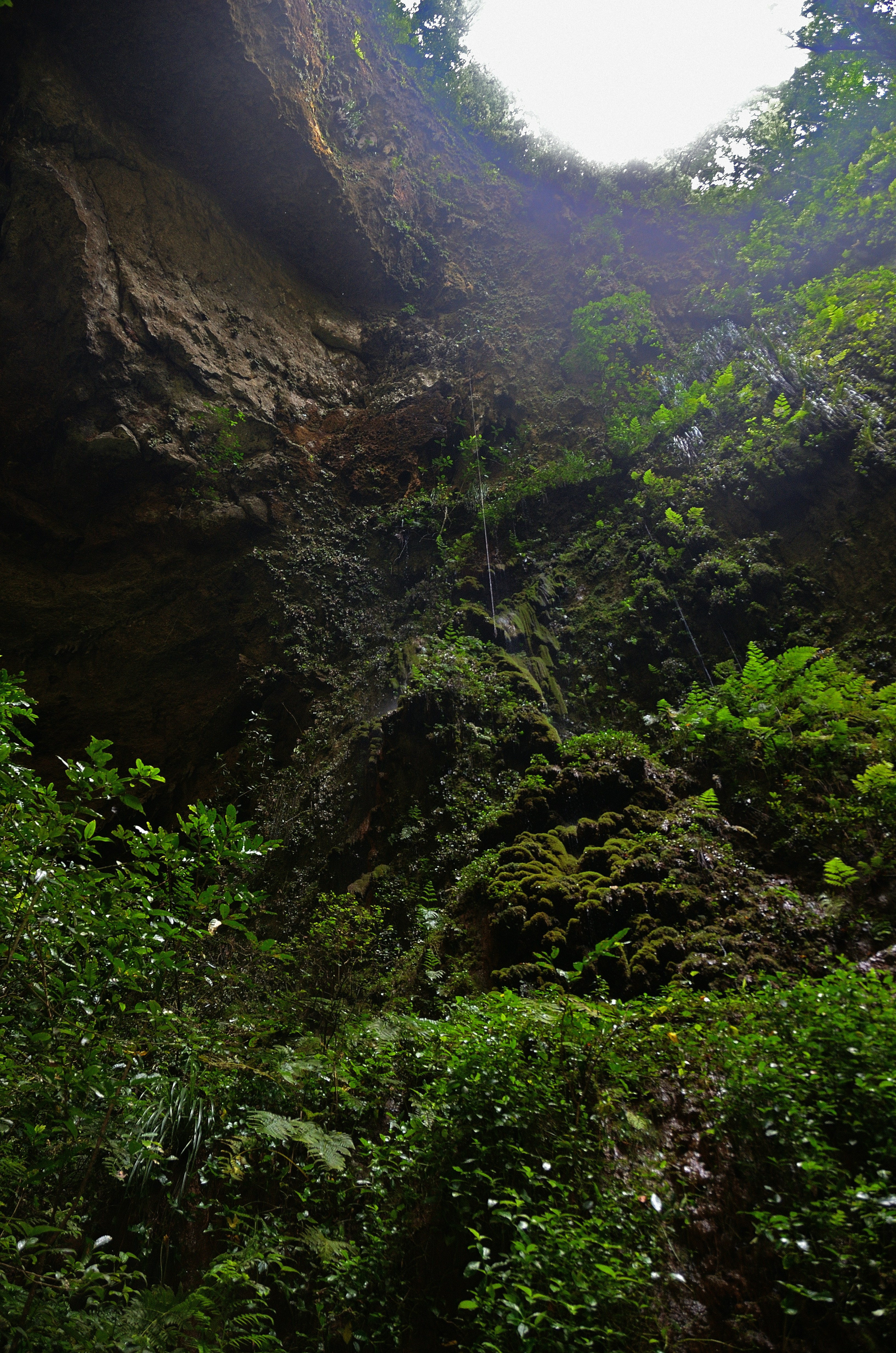 The Great Discovery Gap (image credits: unsplash)