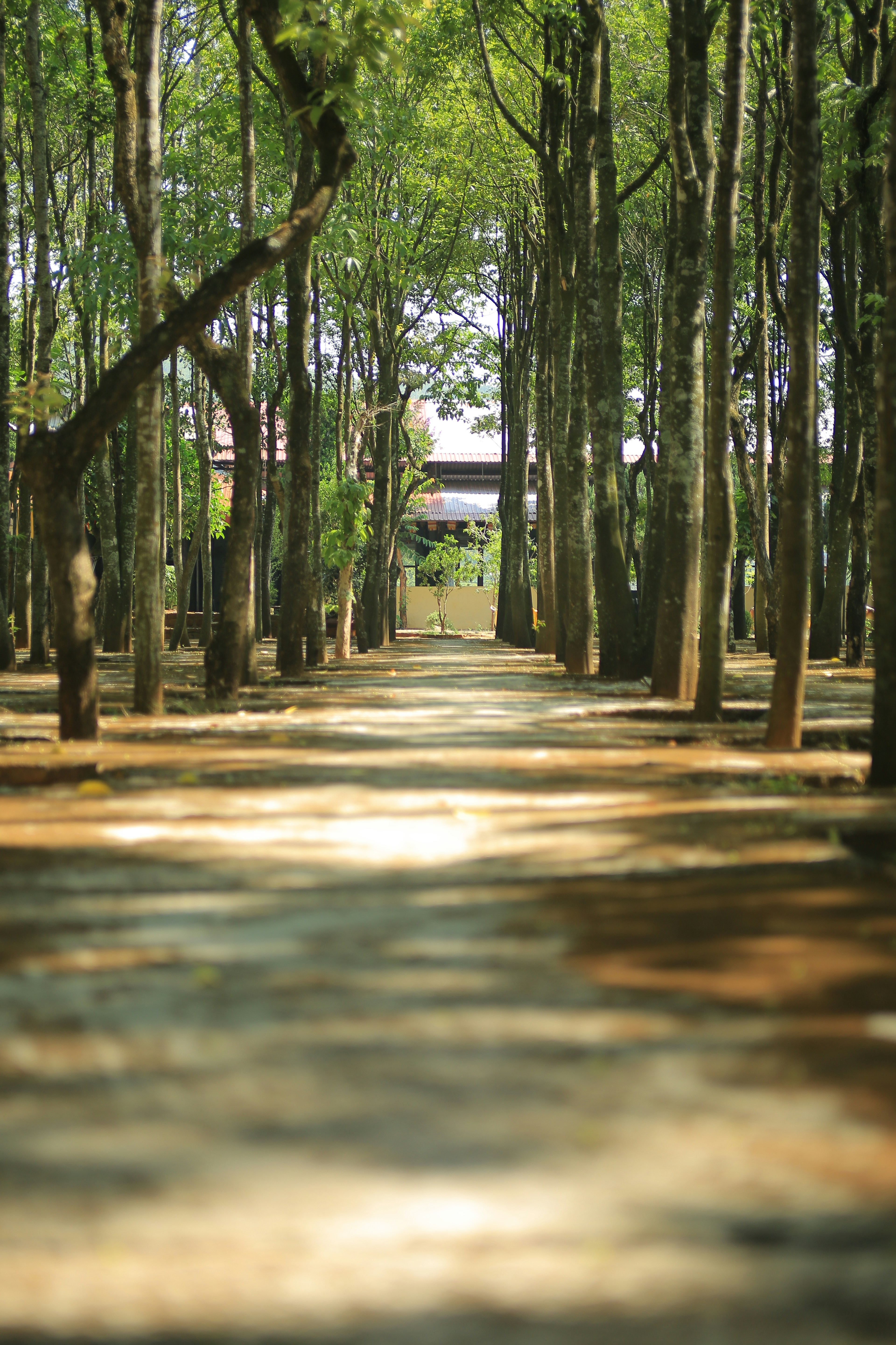 Photo by clintonkangpham